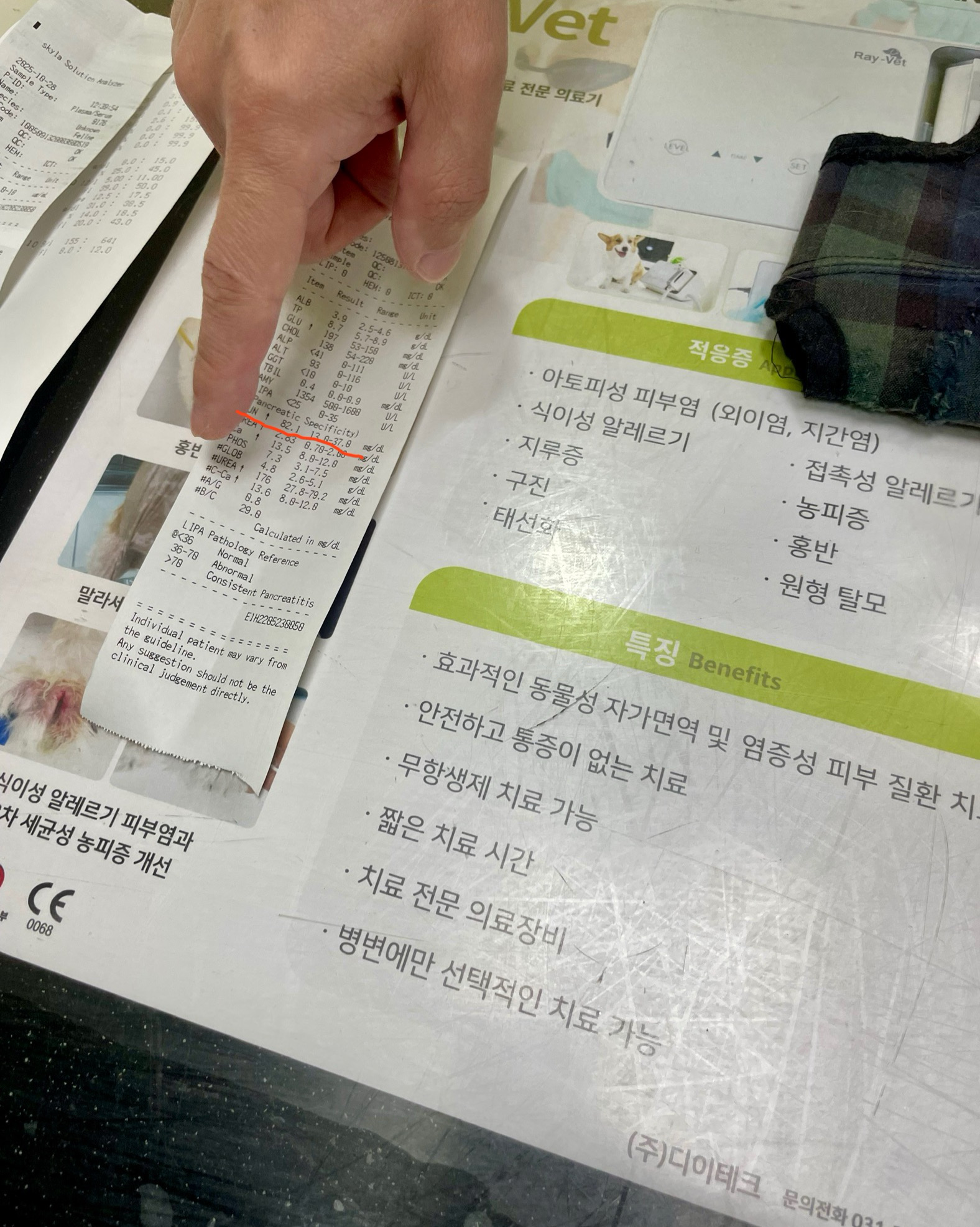 리뷰 사진 1