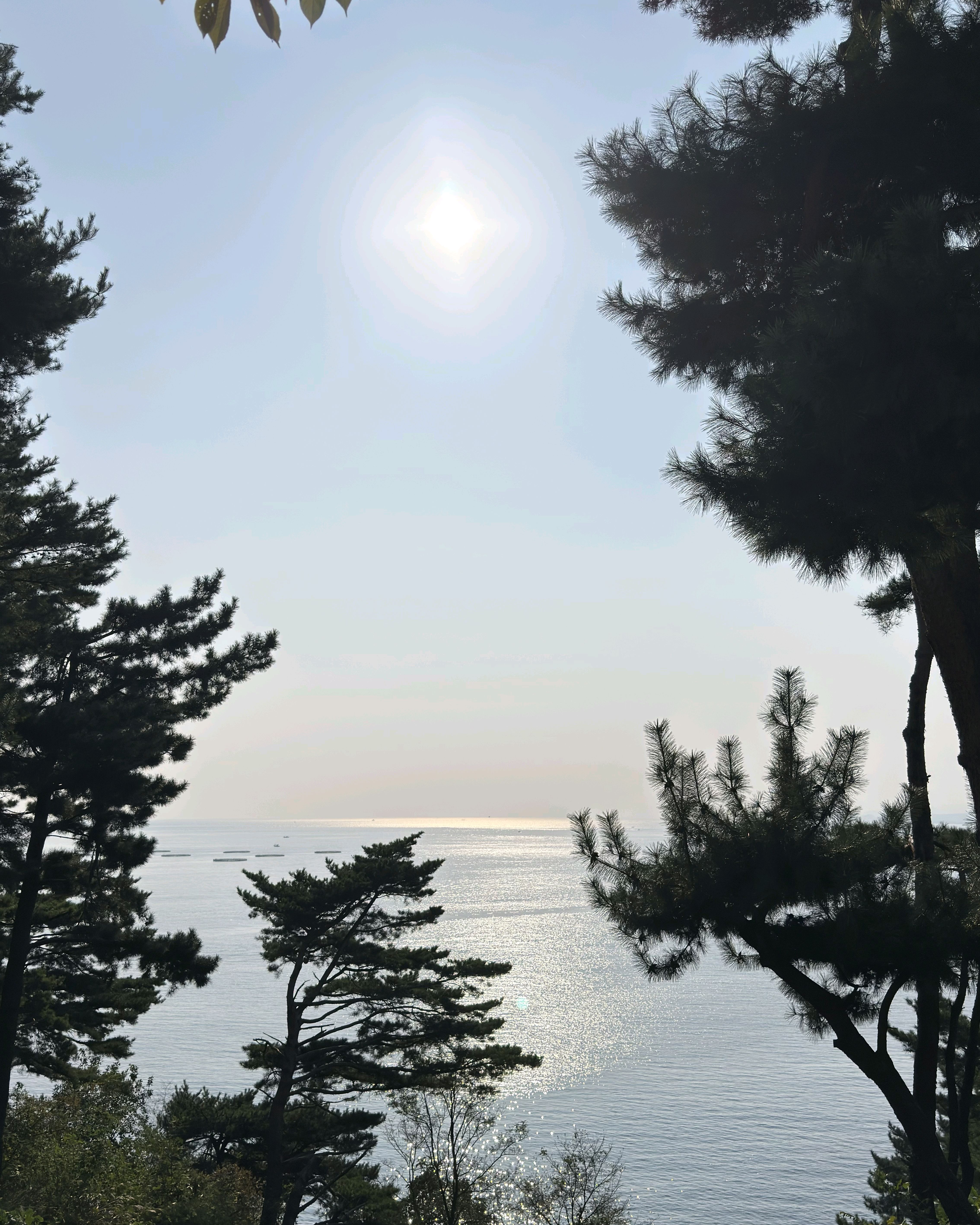 외옹치바다향기로 (휴업중) 2