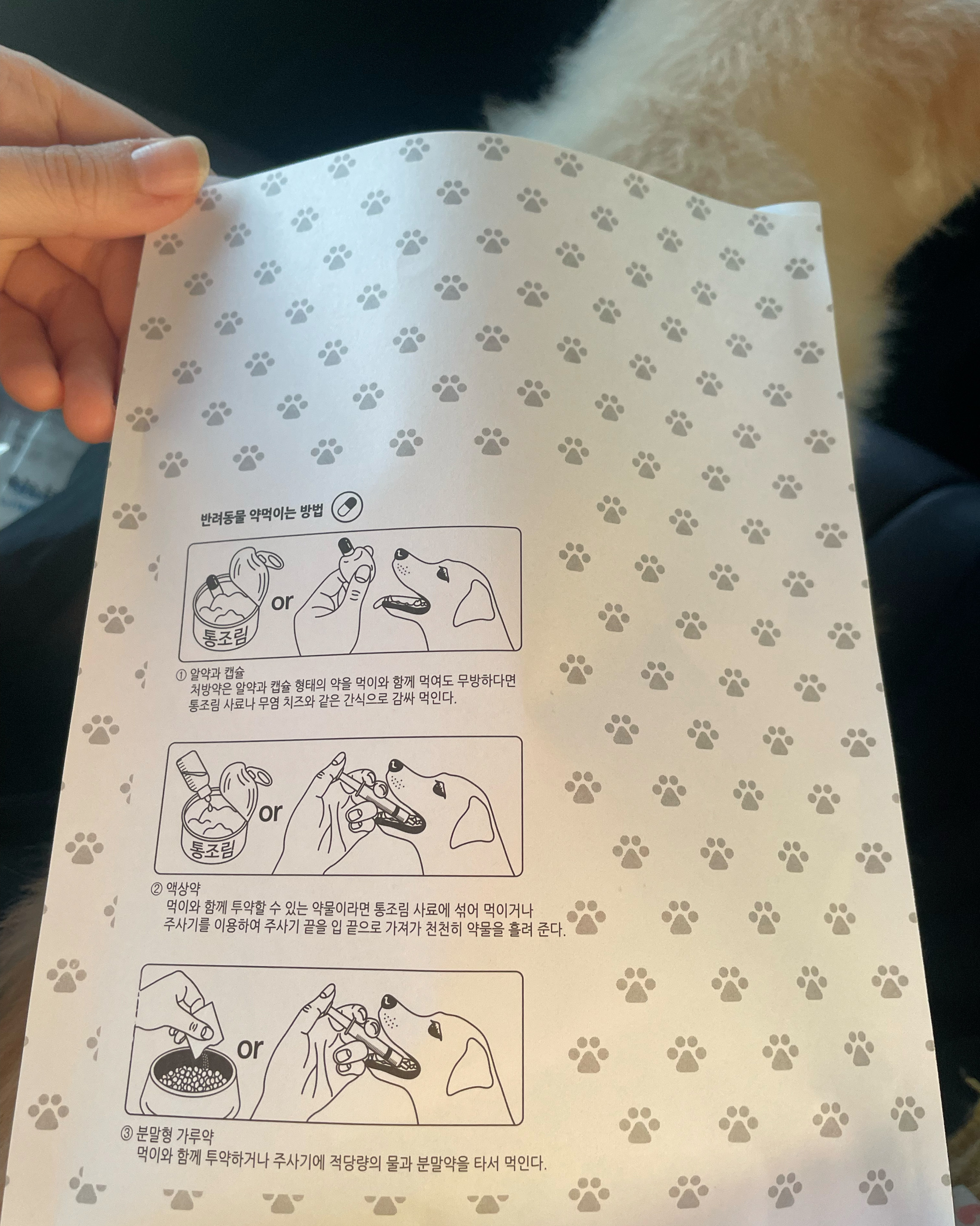 리뷰 사진 1
