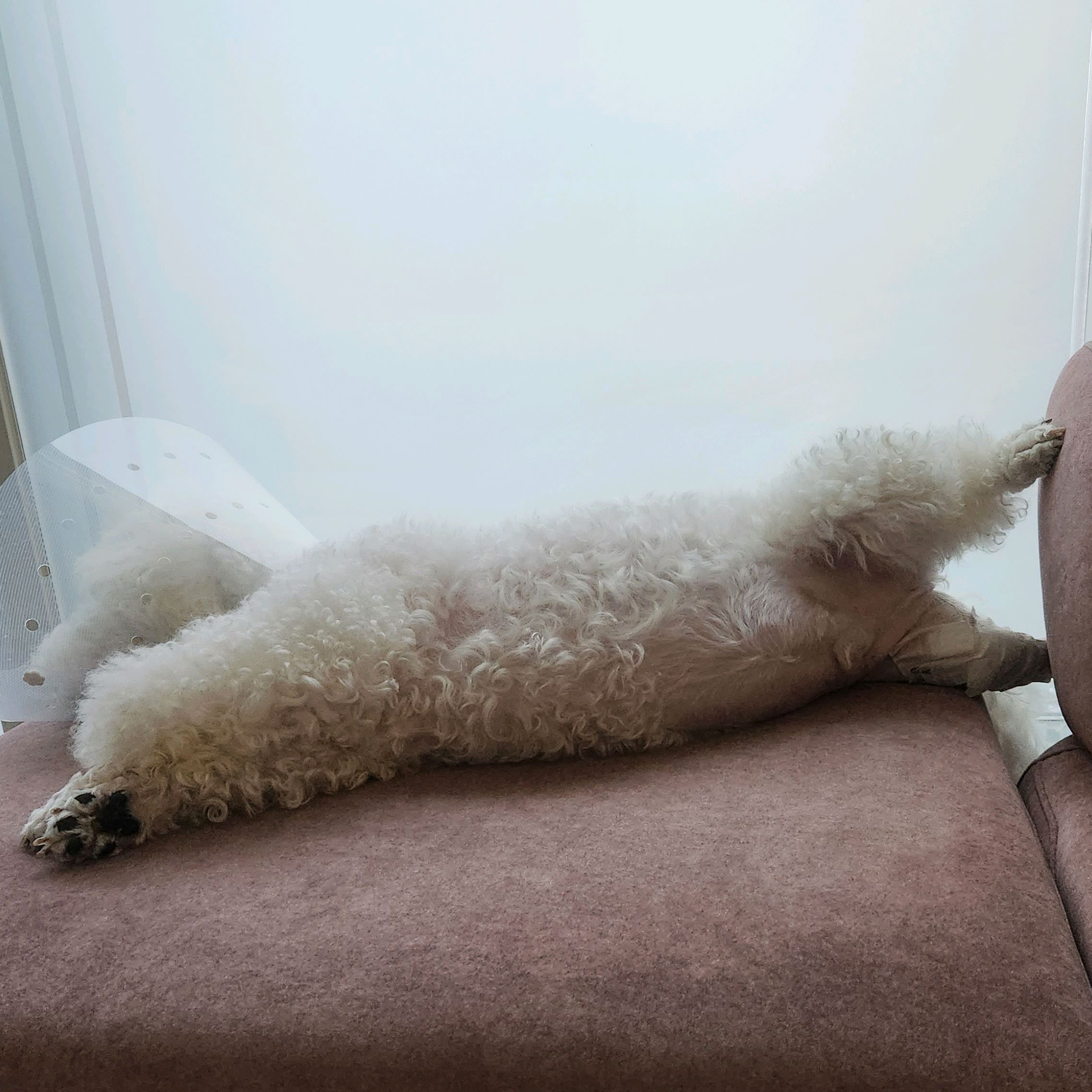 리뷰 사진 1