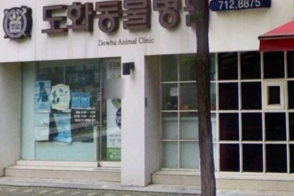 도화동물병원 사진 2