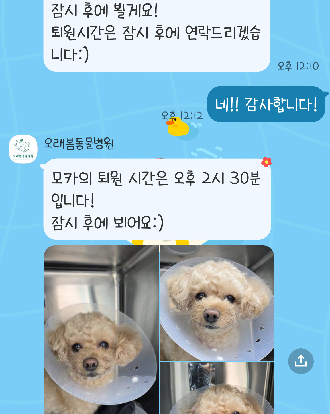 리뷰 사진 1