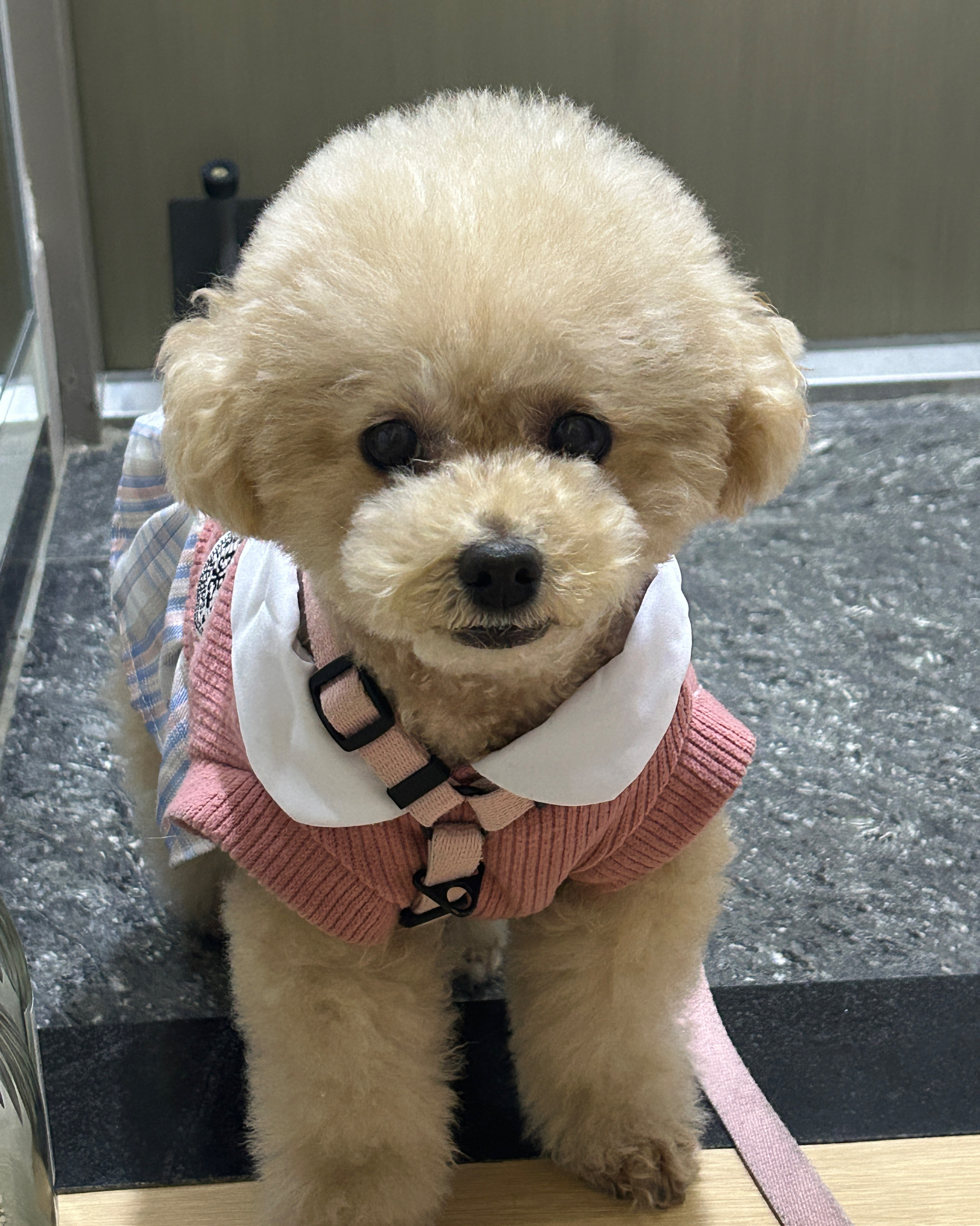 리뷰 사진 1