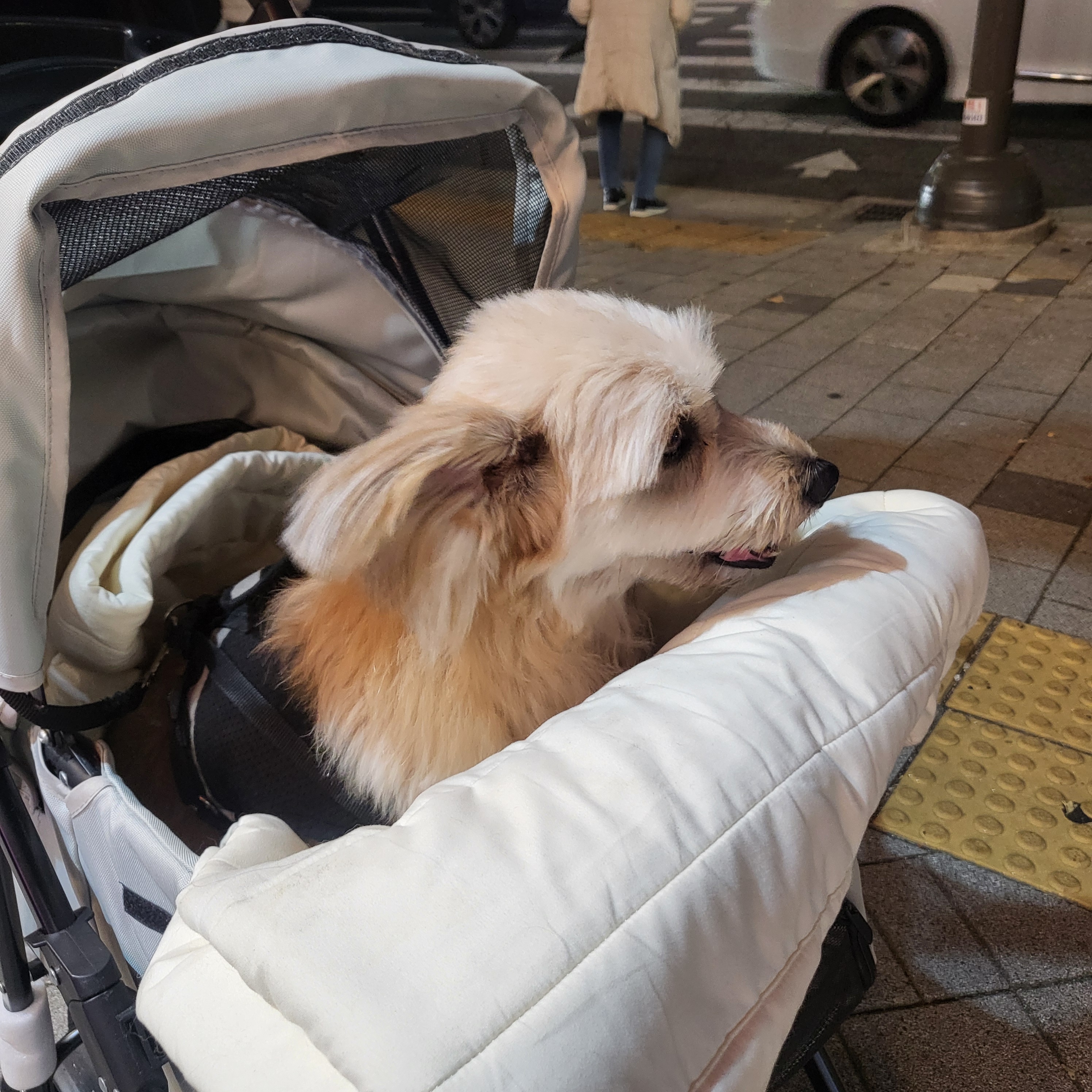 리뷰 사진 1