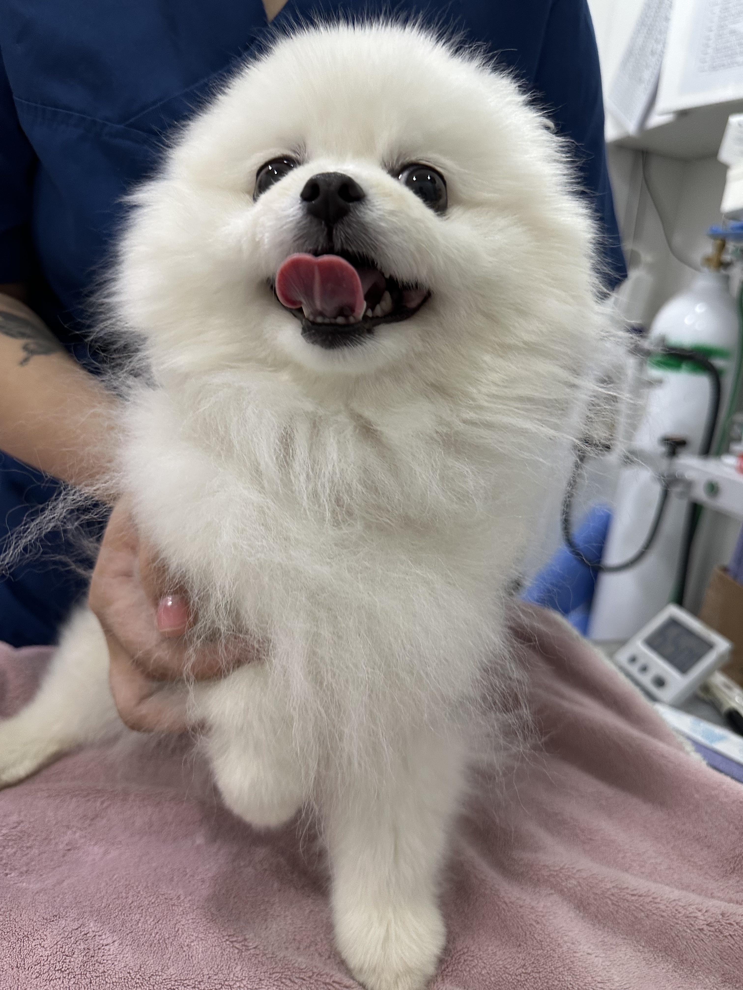 리뷰 사진 2