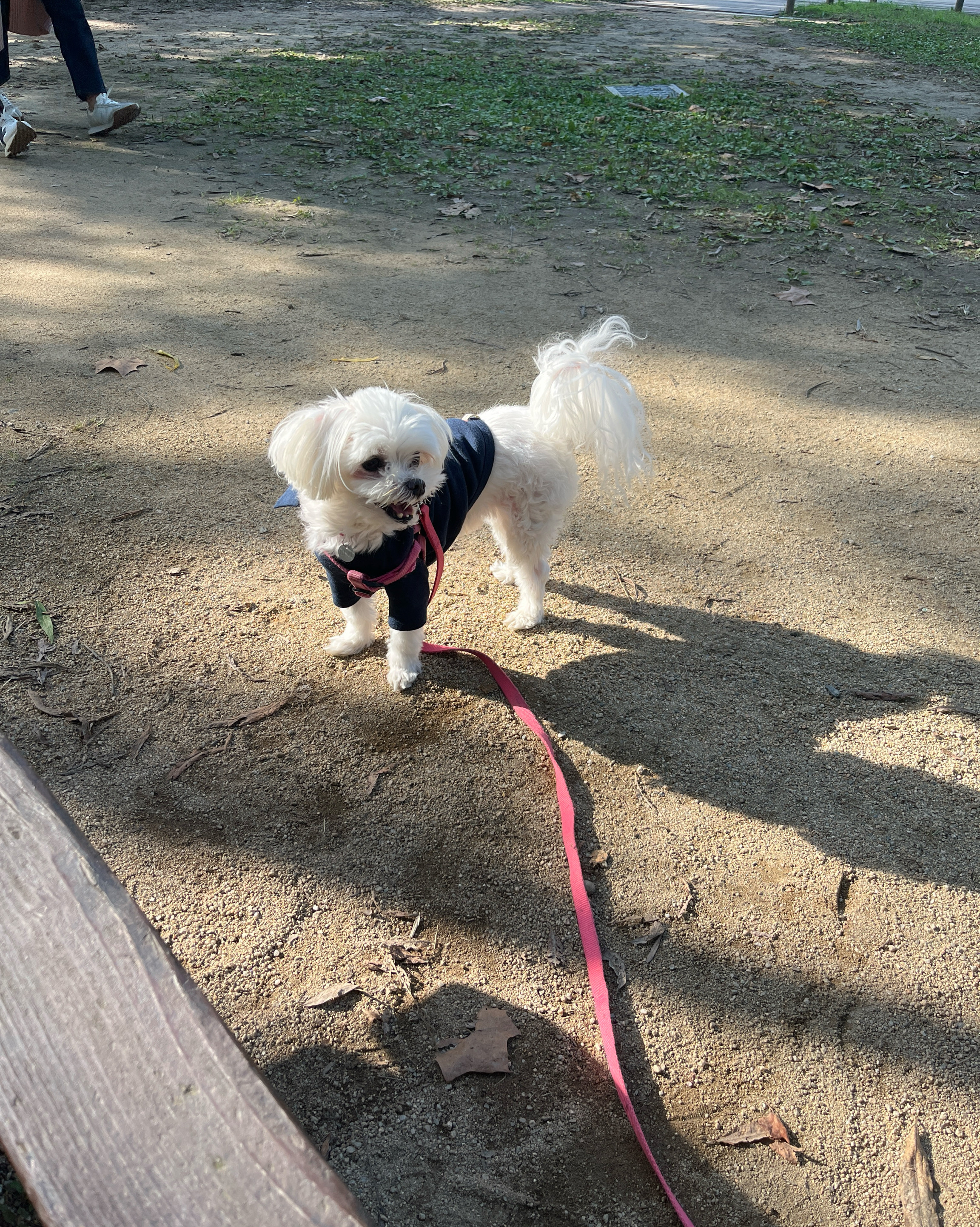 리뷰 사진 1