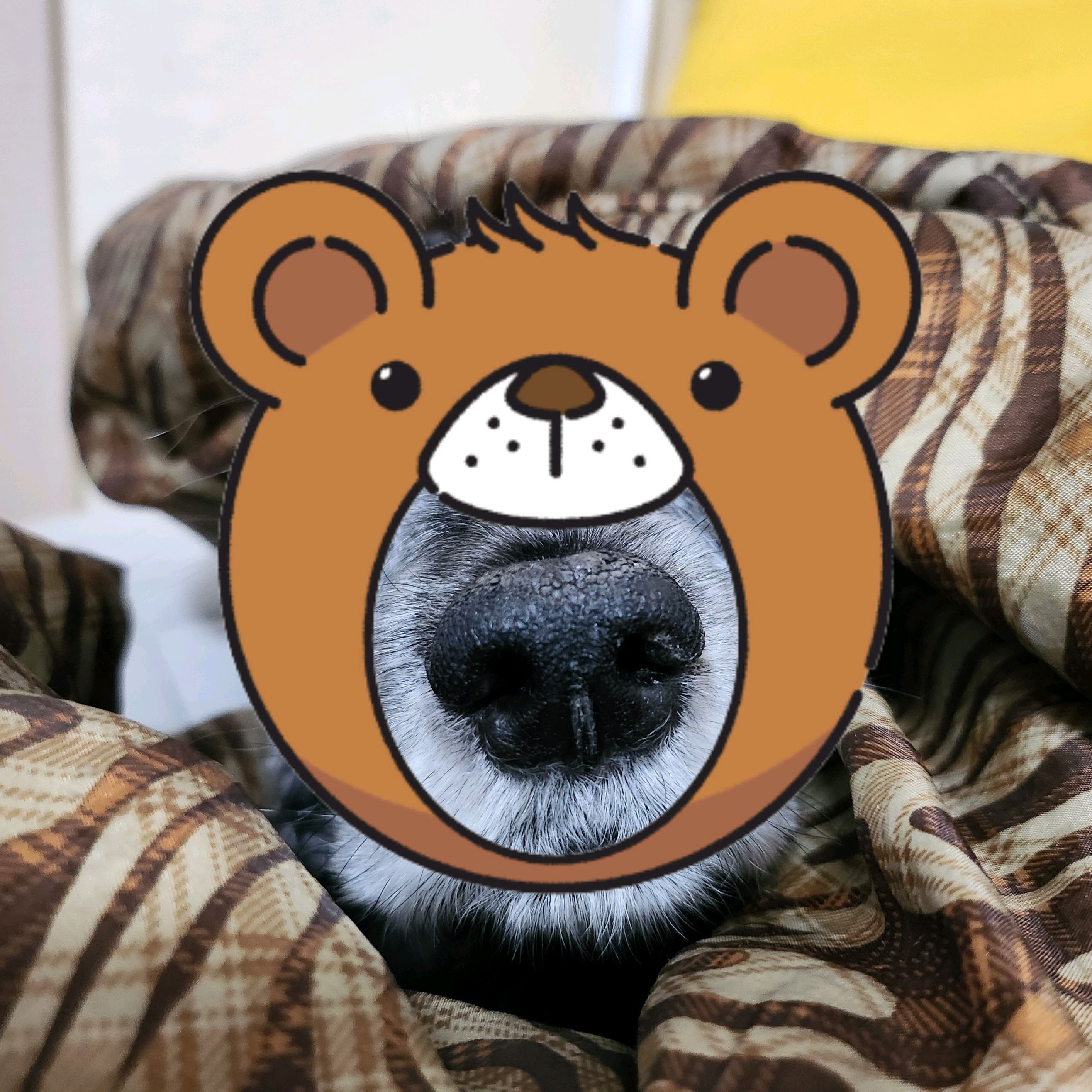 리뷰 사진 1