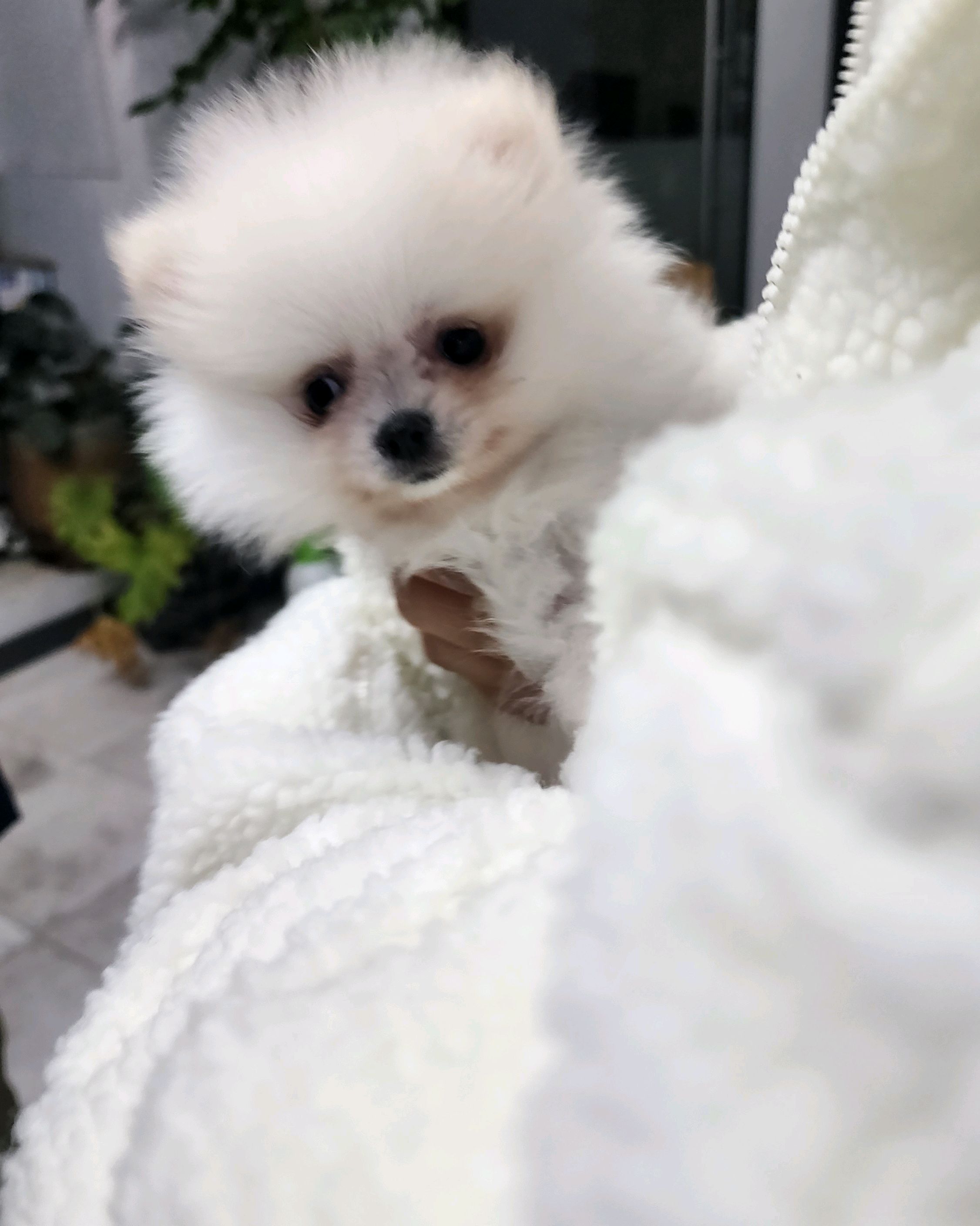 리뷰 사진 1