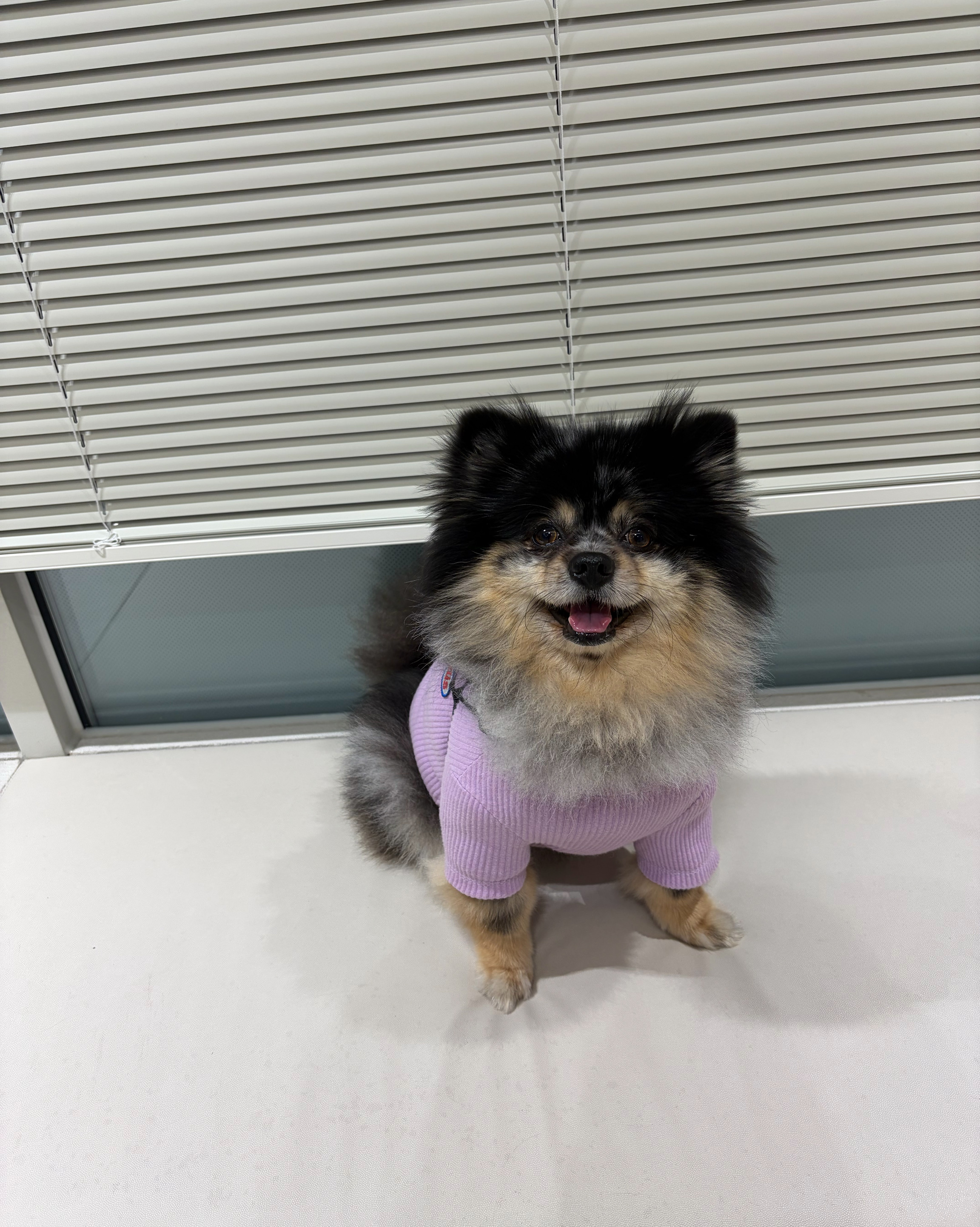 리뷰 사진 1
