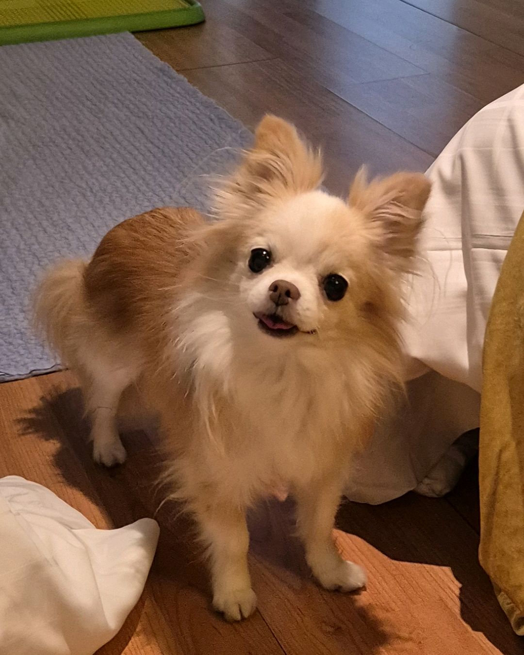 리뷰 사진 1