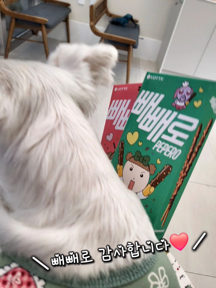리뷰 사진 1