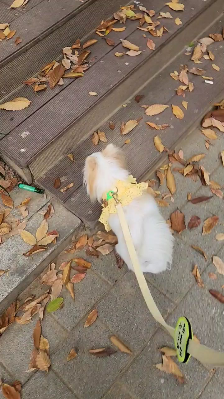 리뷰 사진 1