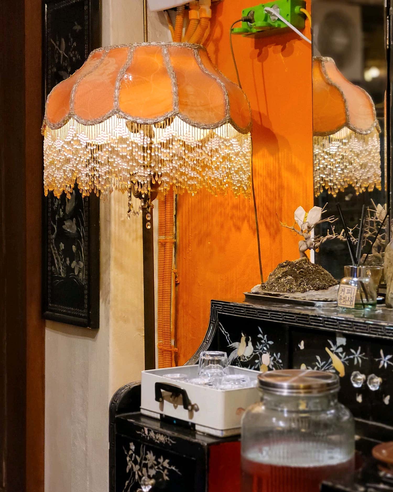 카페 의자에 앉아있는 고양이