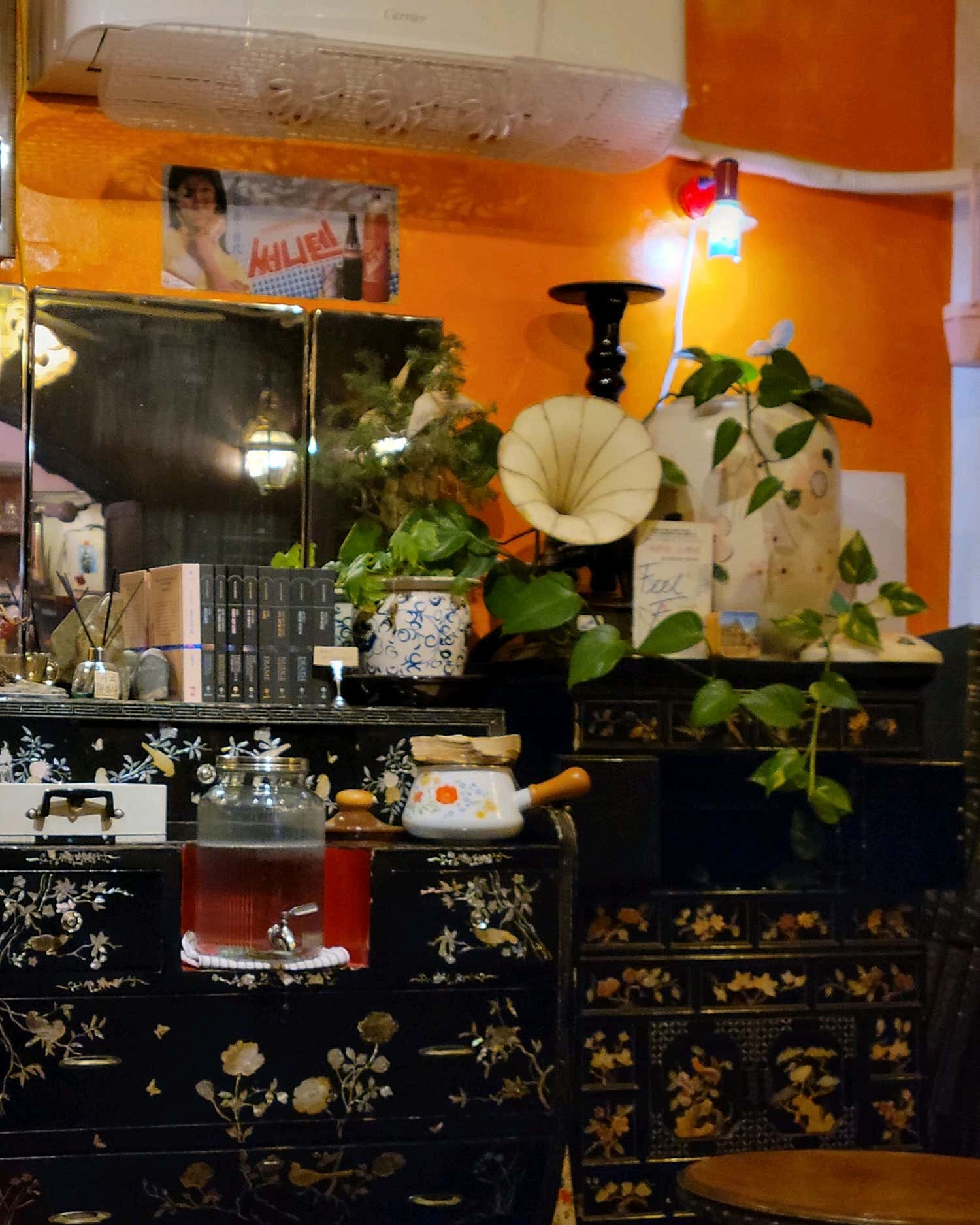 카메라를 응시하는 치즈냥이