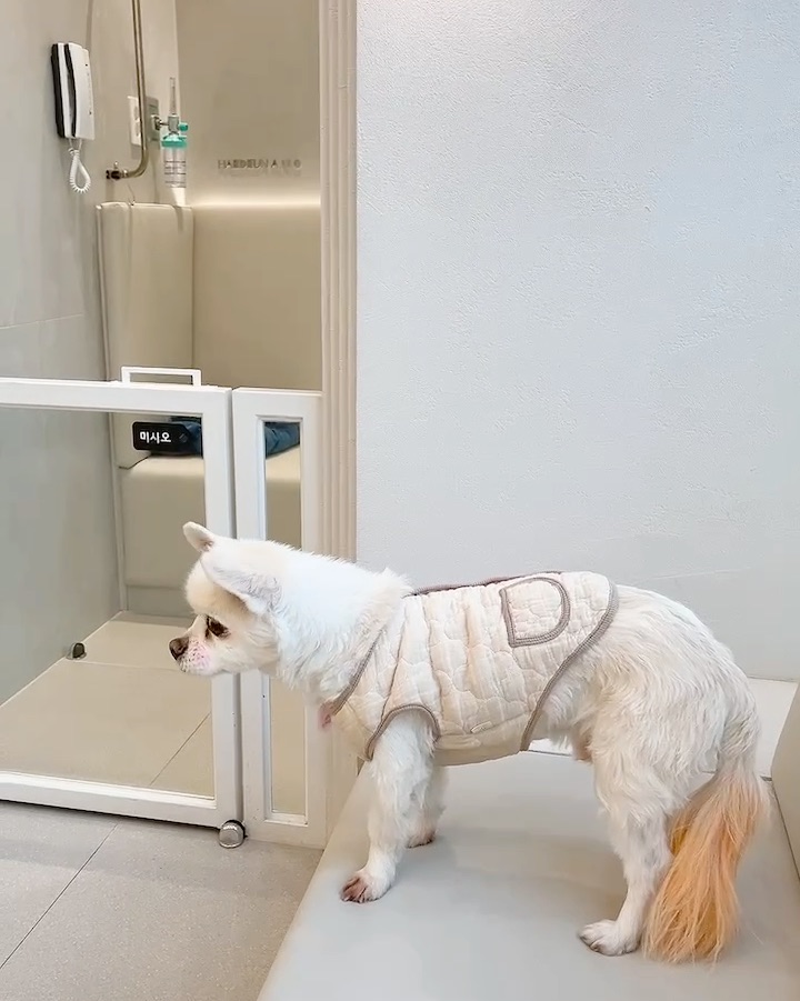 24시 해든동물의료센터 의정부점 사진 2