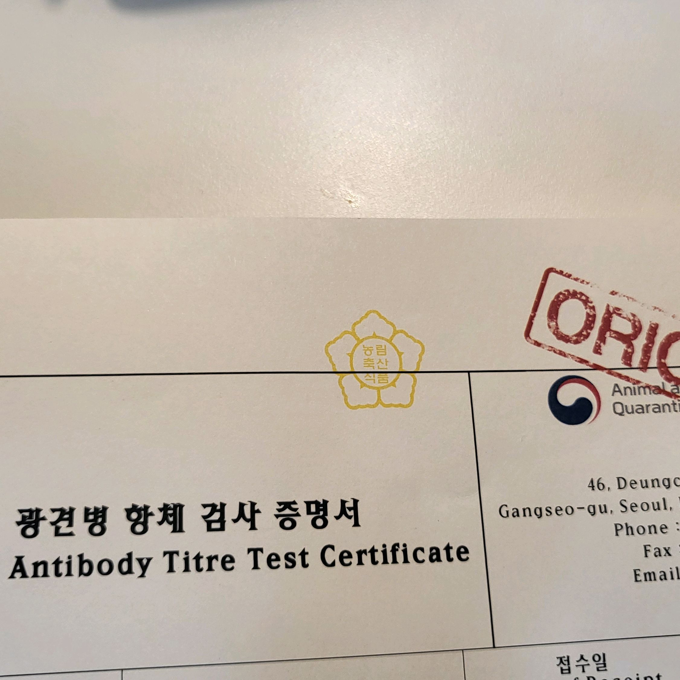 리뷰 사진 1