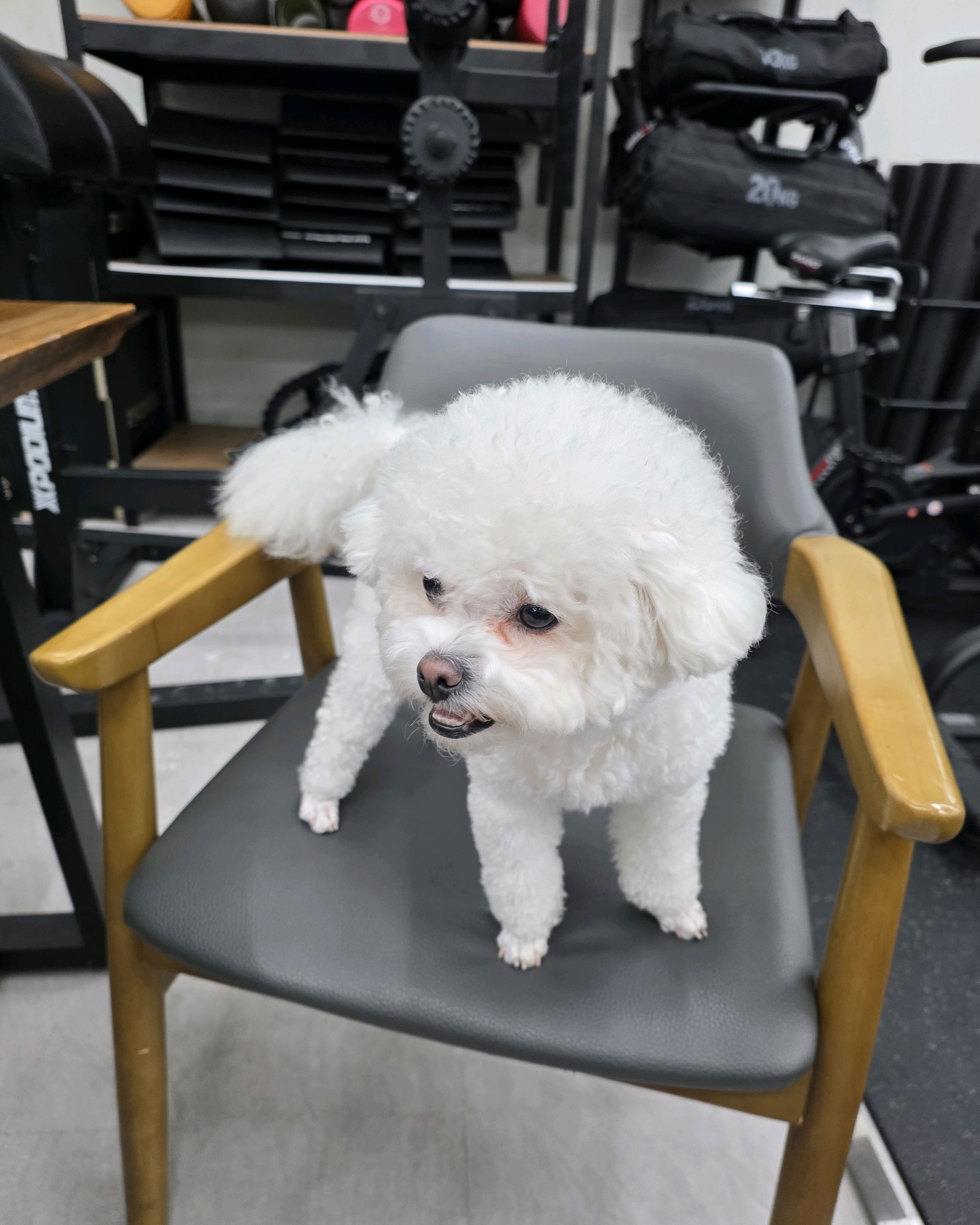 이마트24 속초동명점 7
