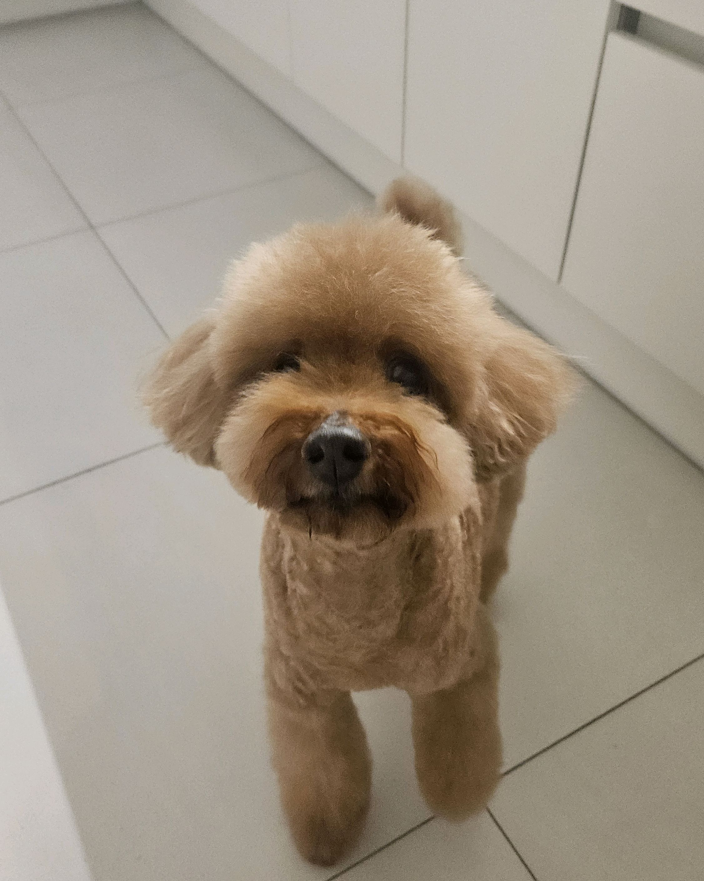 리뷰 사진 1
