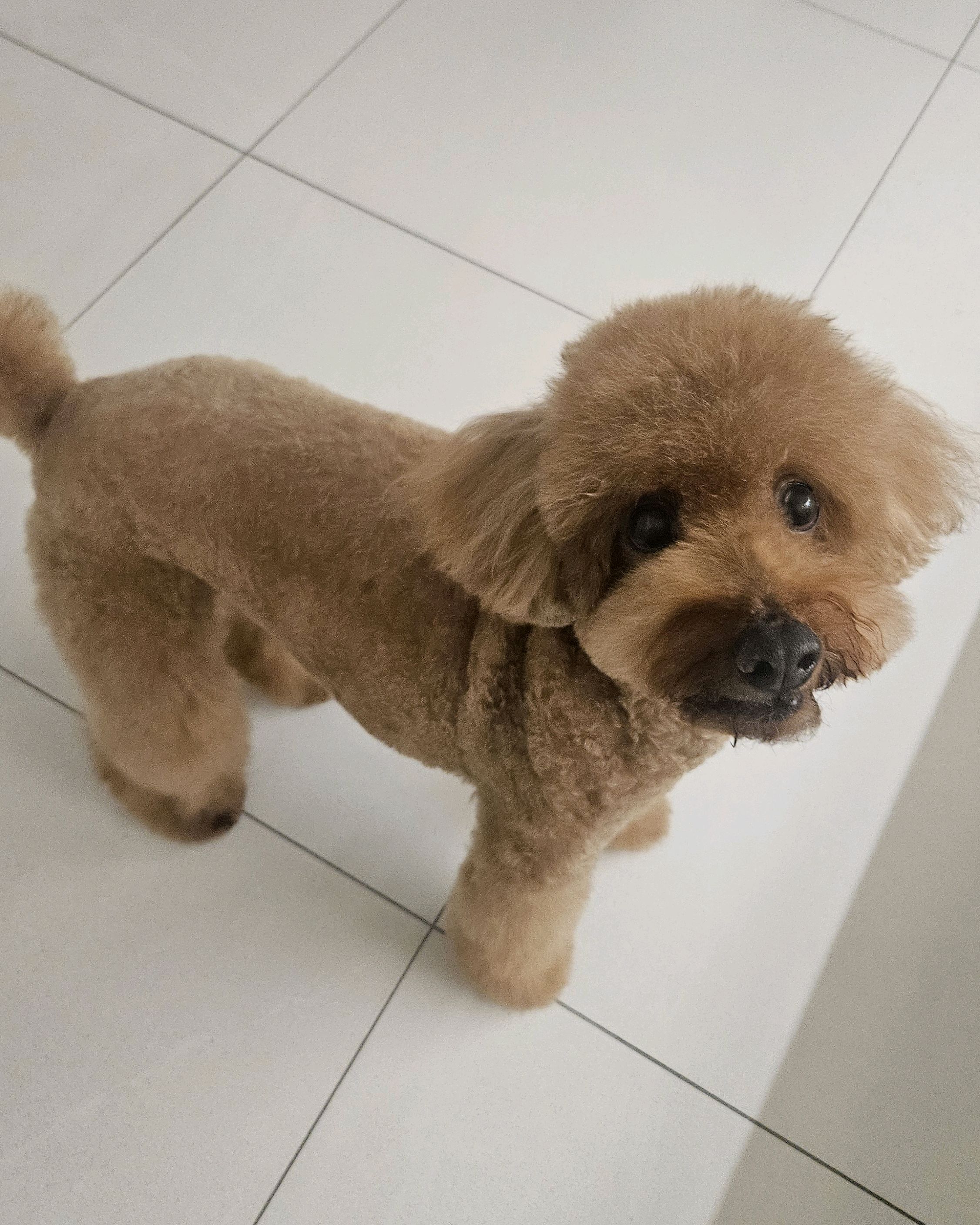 리뷰 사진 2