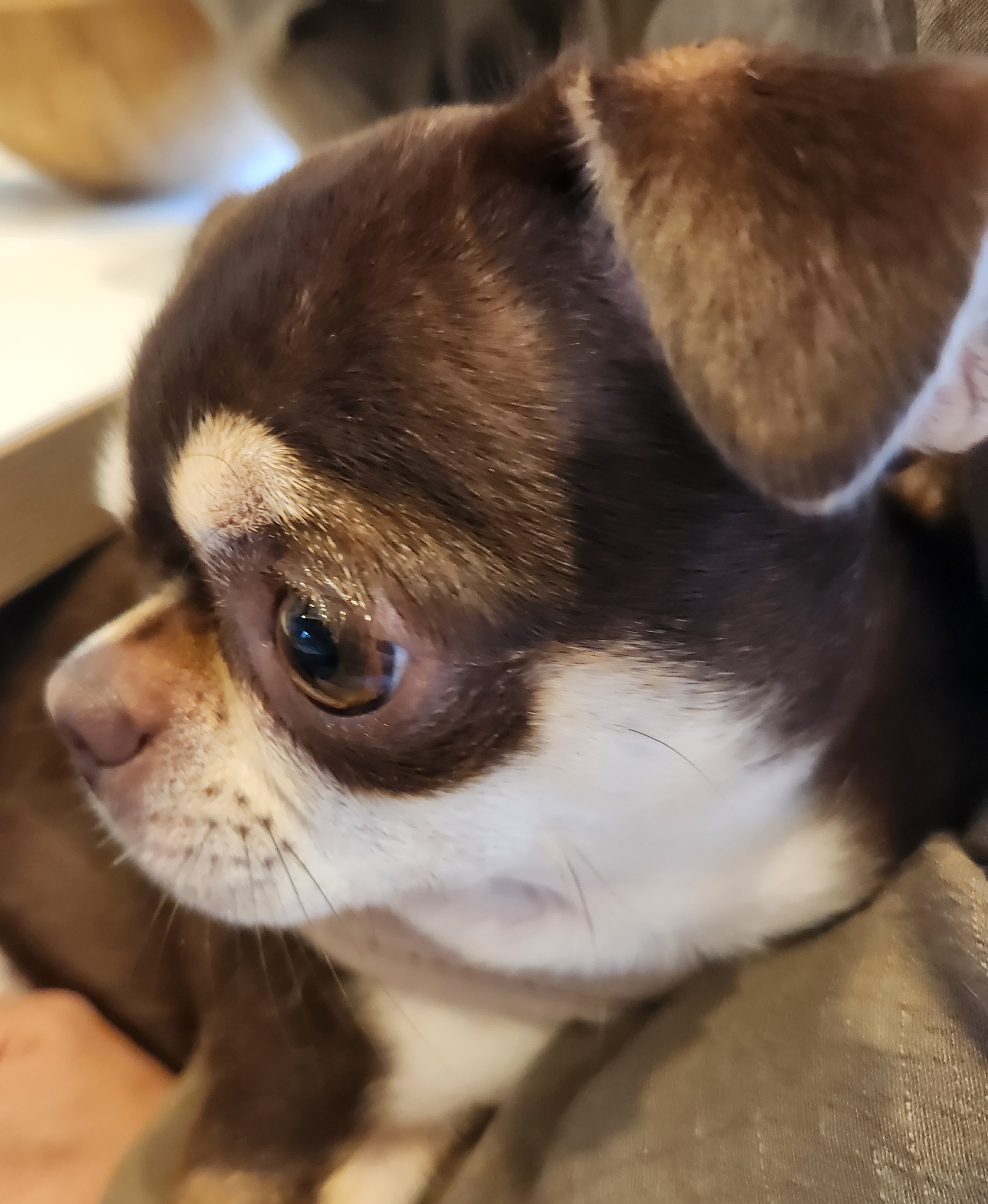 리뷰 사진 1