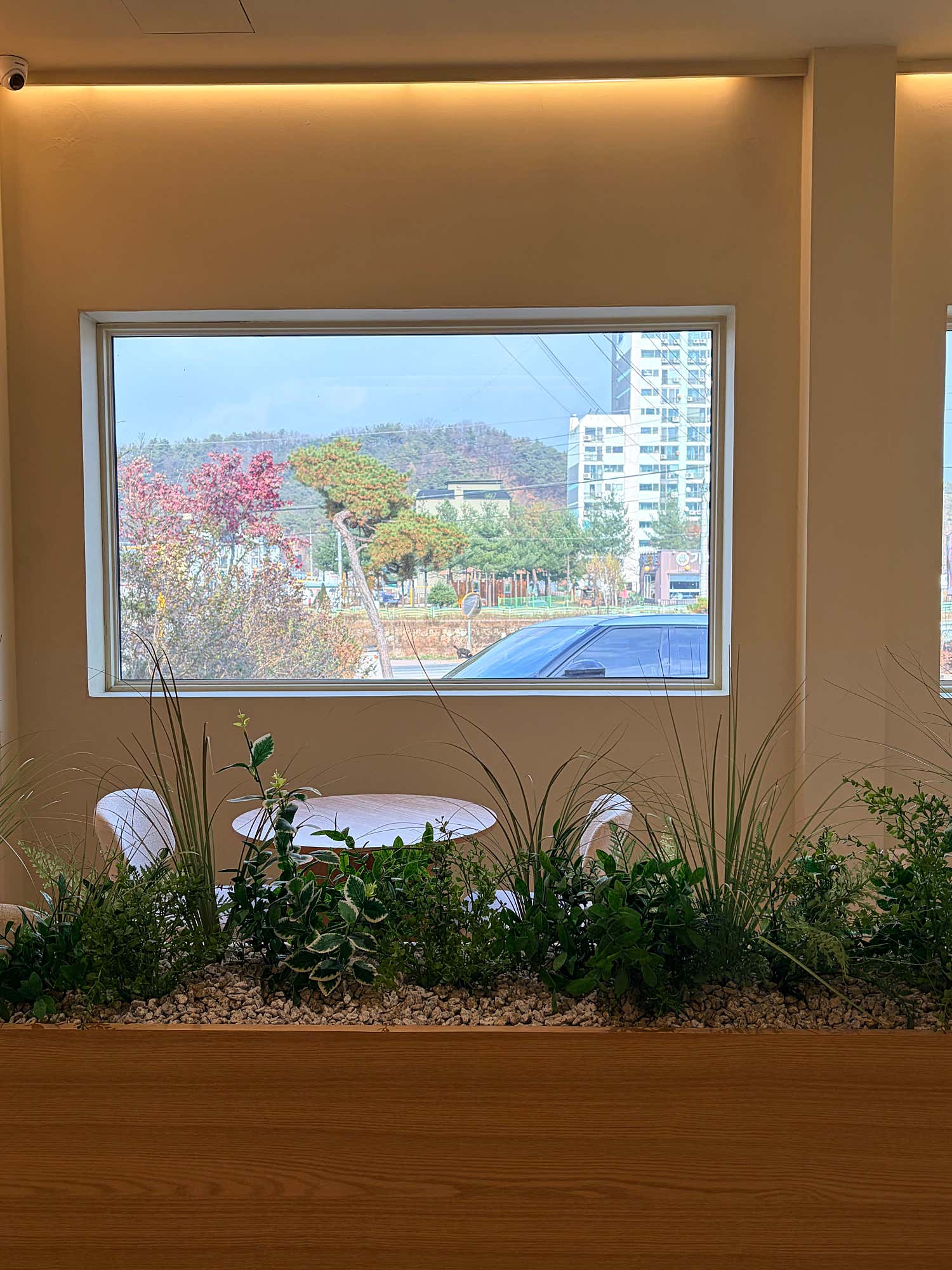 카페 에르츠 말차크림샷라떼의 예술적인 비주얼