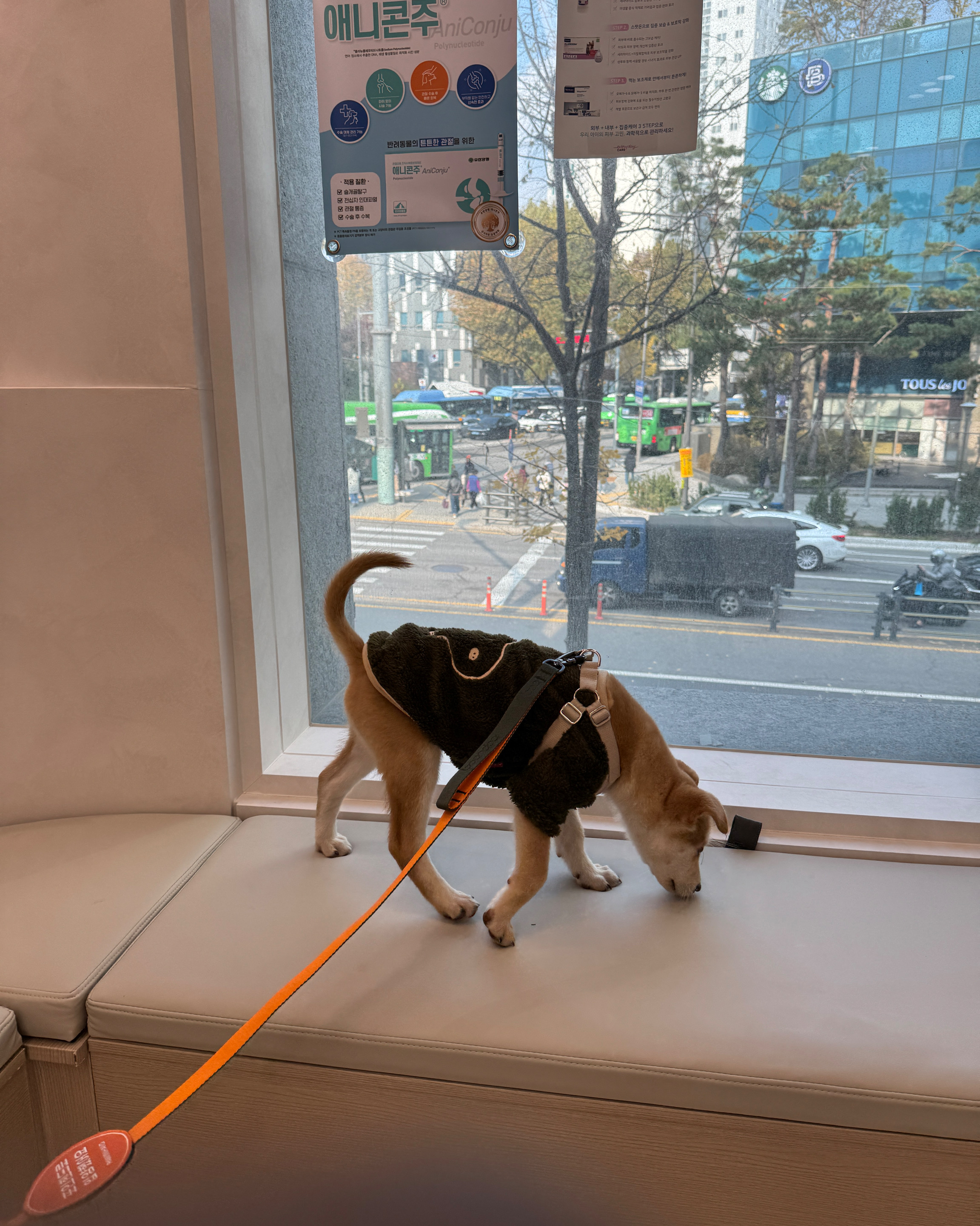 리뷰 사진 1