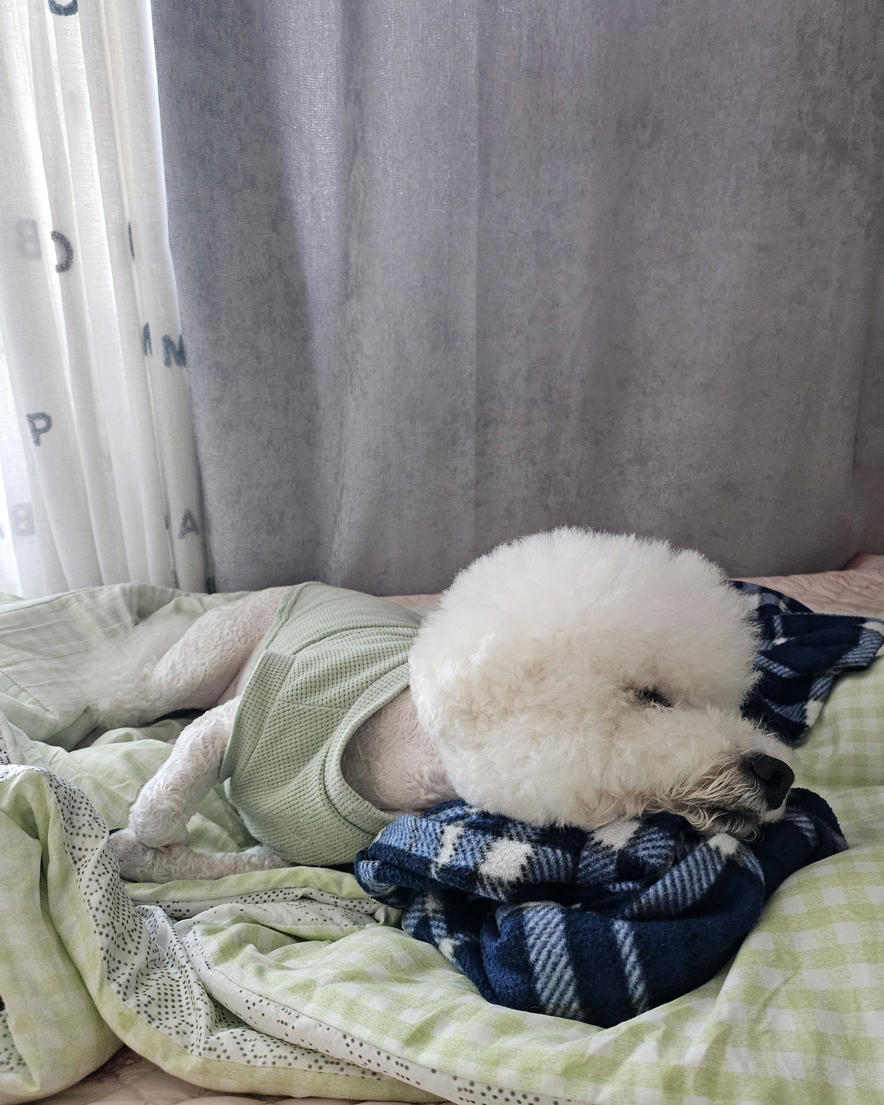 리뷰 사진 1