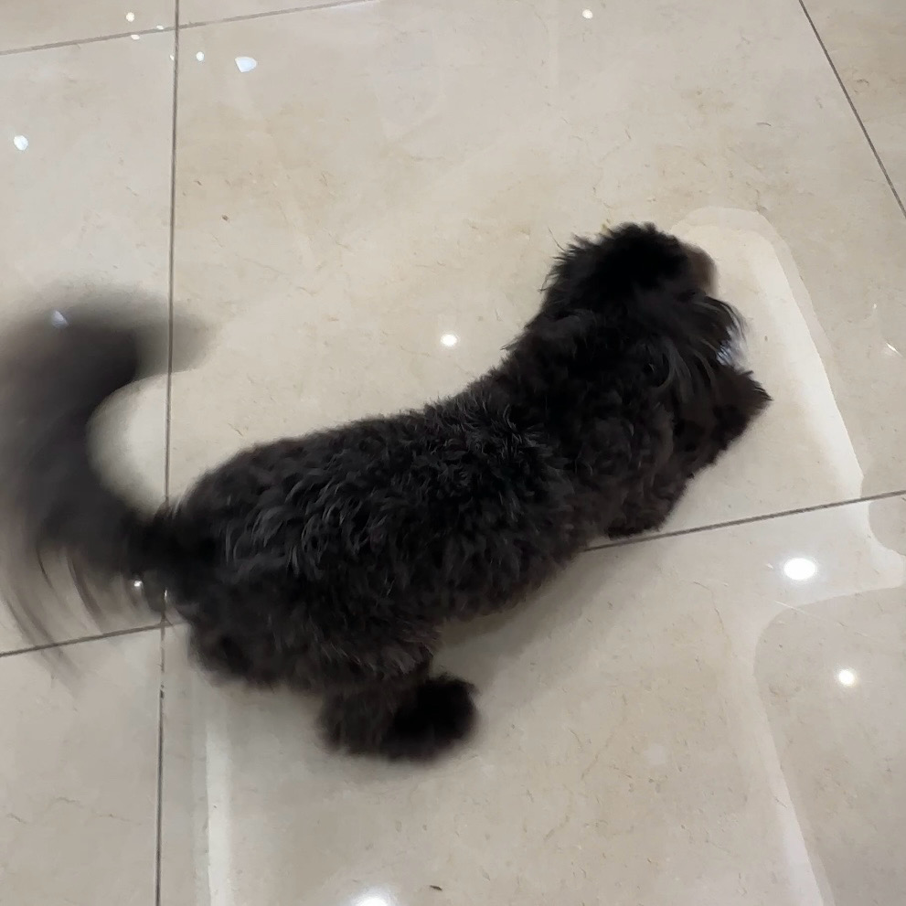 리뷰 사진 1