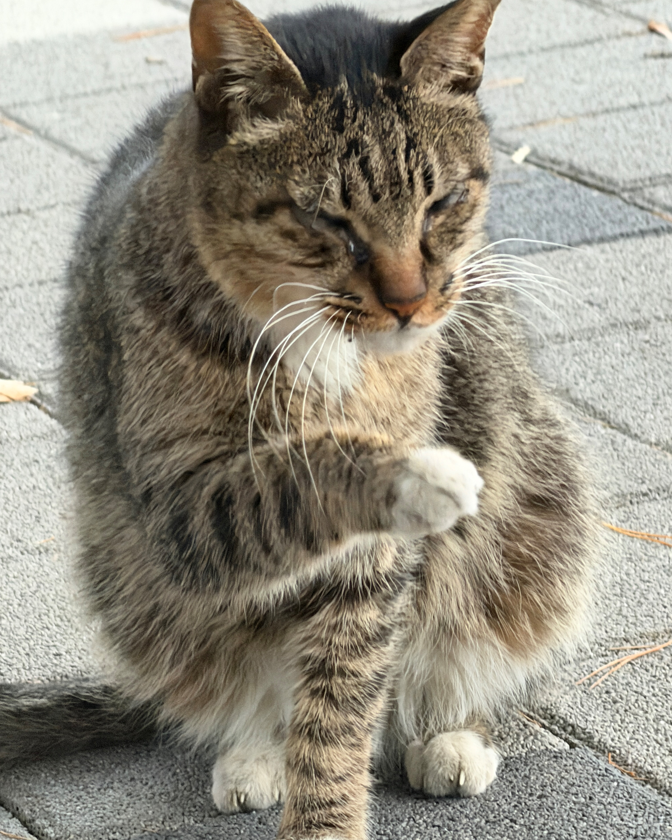 리뷰 사진 1