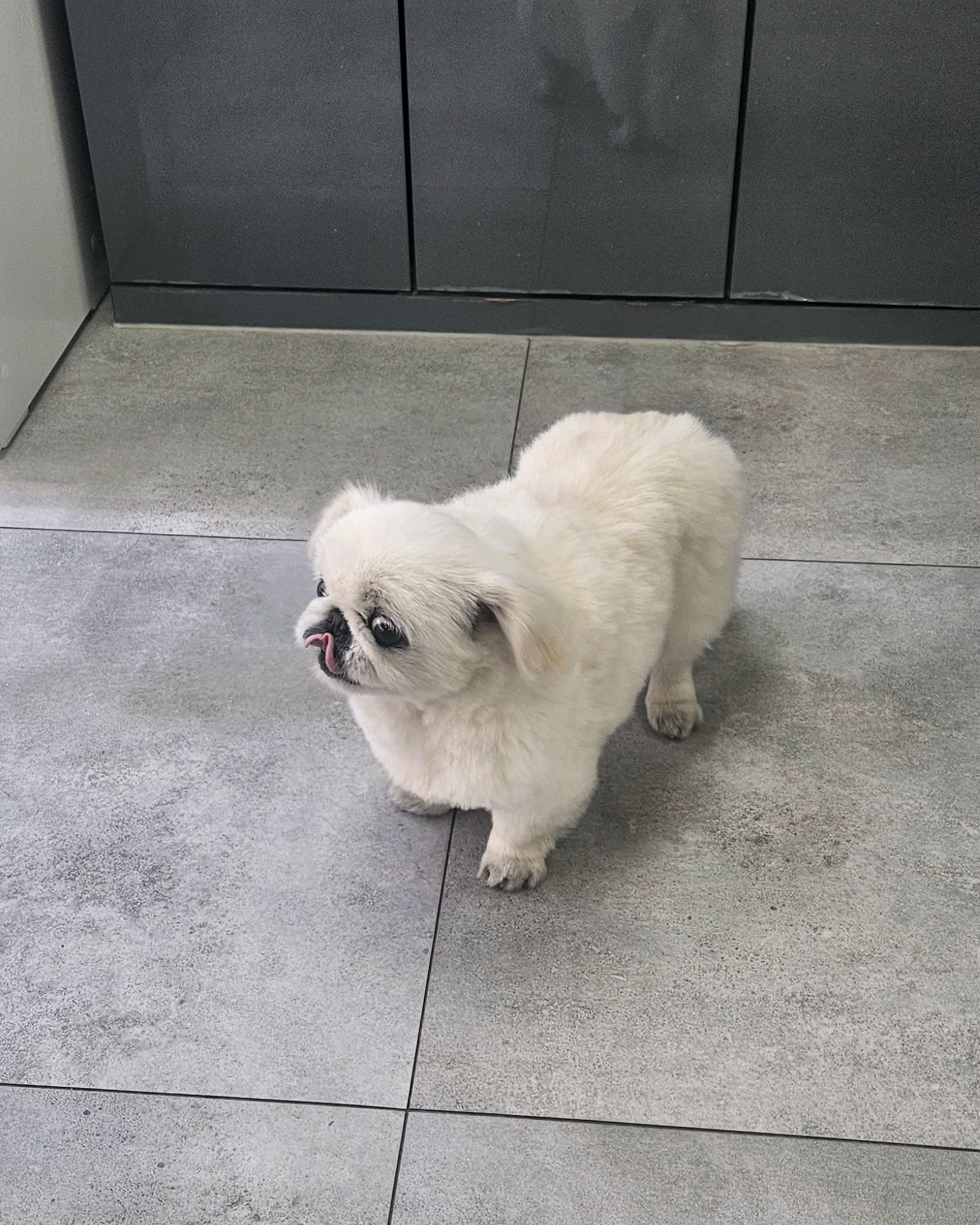 리뷰 사진 3