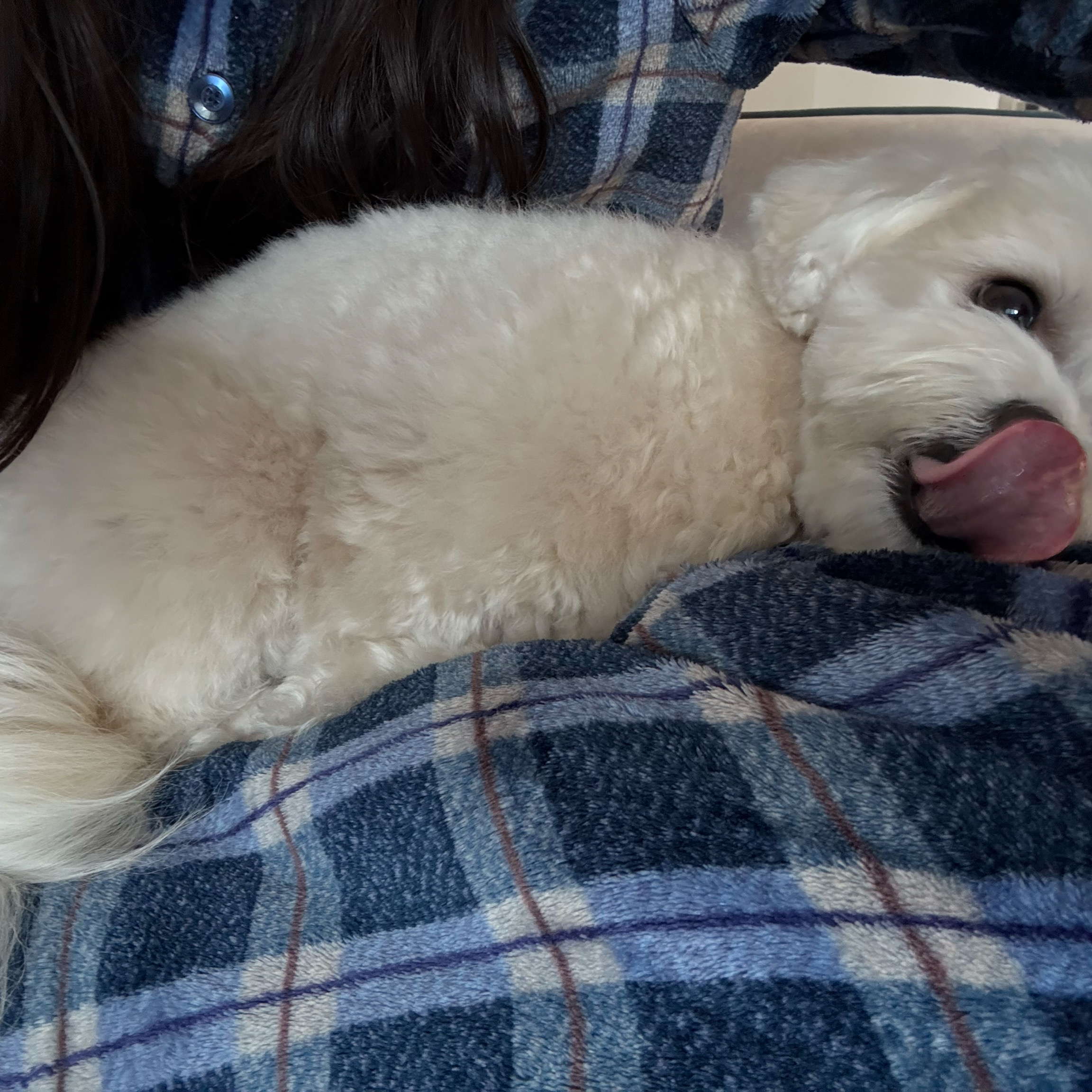 리뷰 사진 1