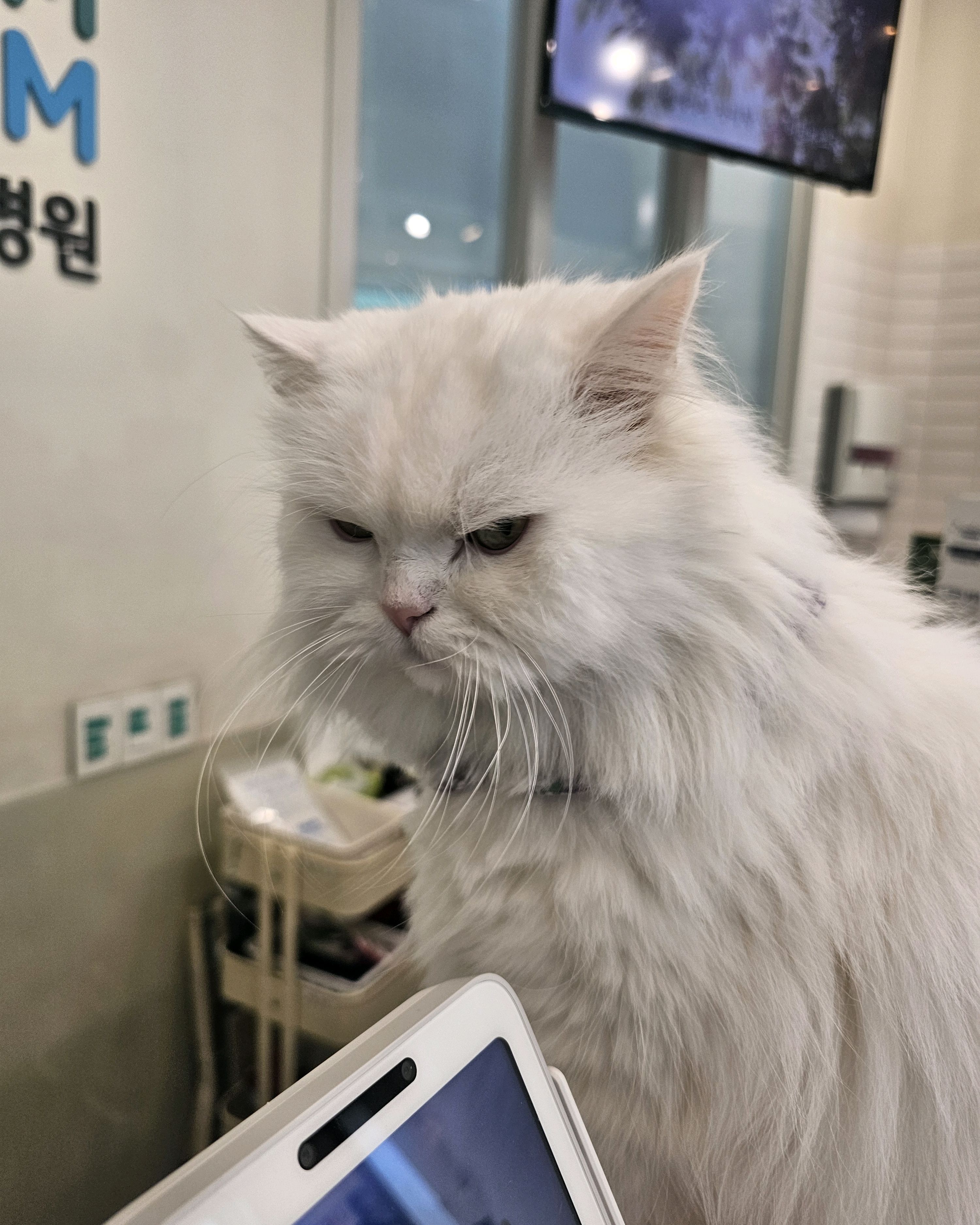 리뷰 사진 2