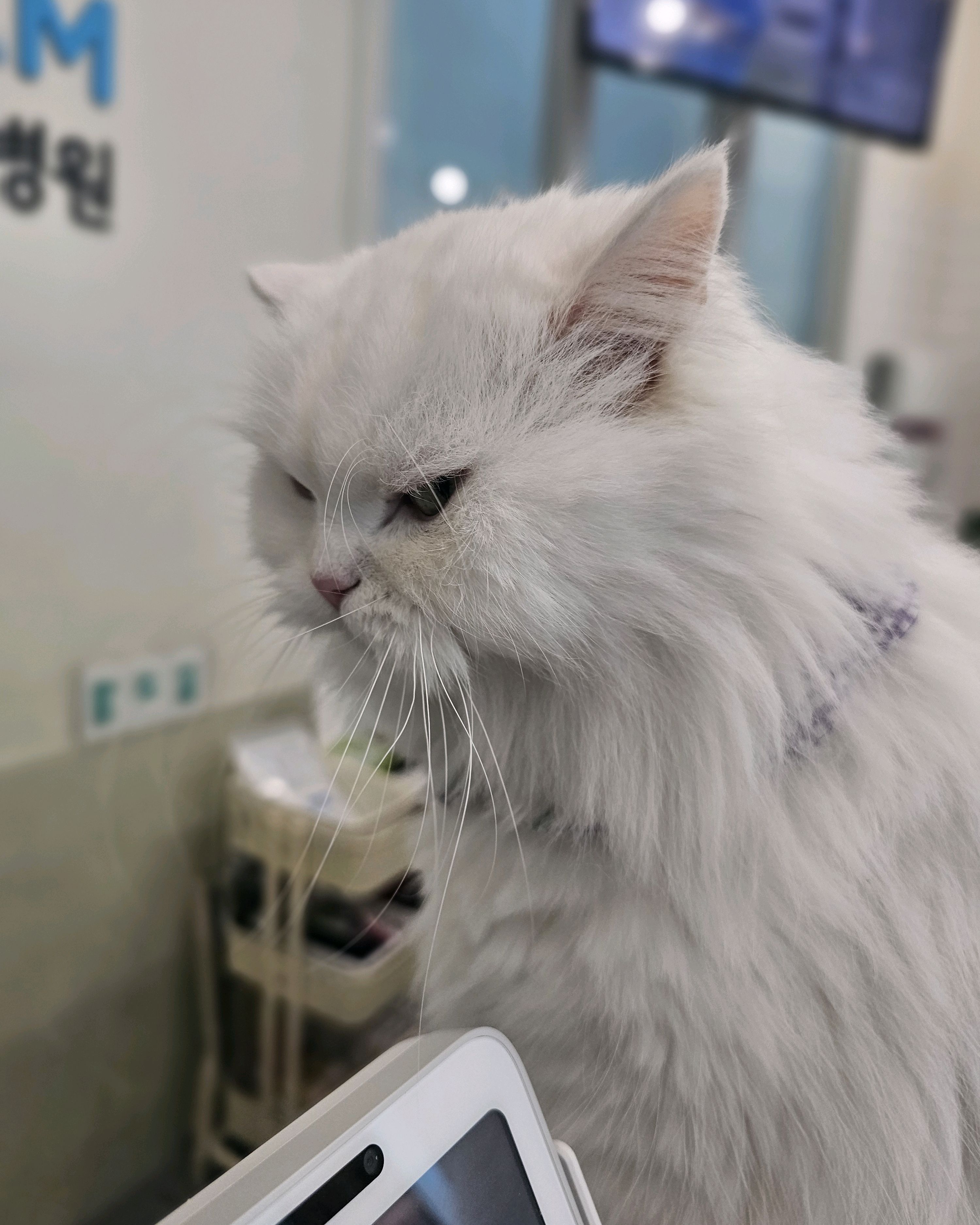 리뷰 사진 1