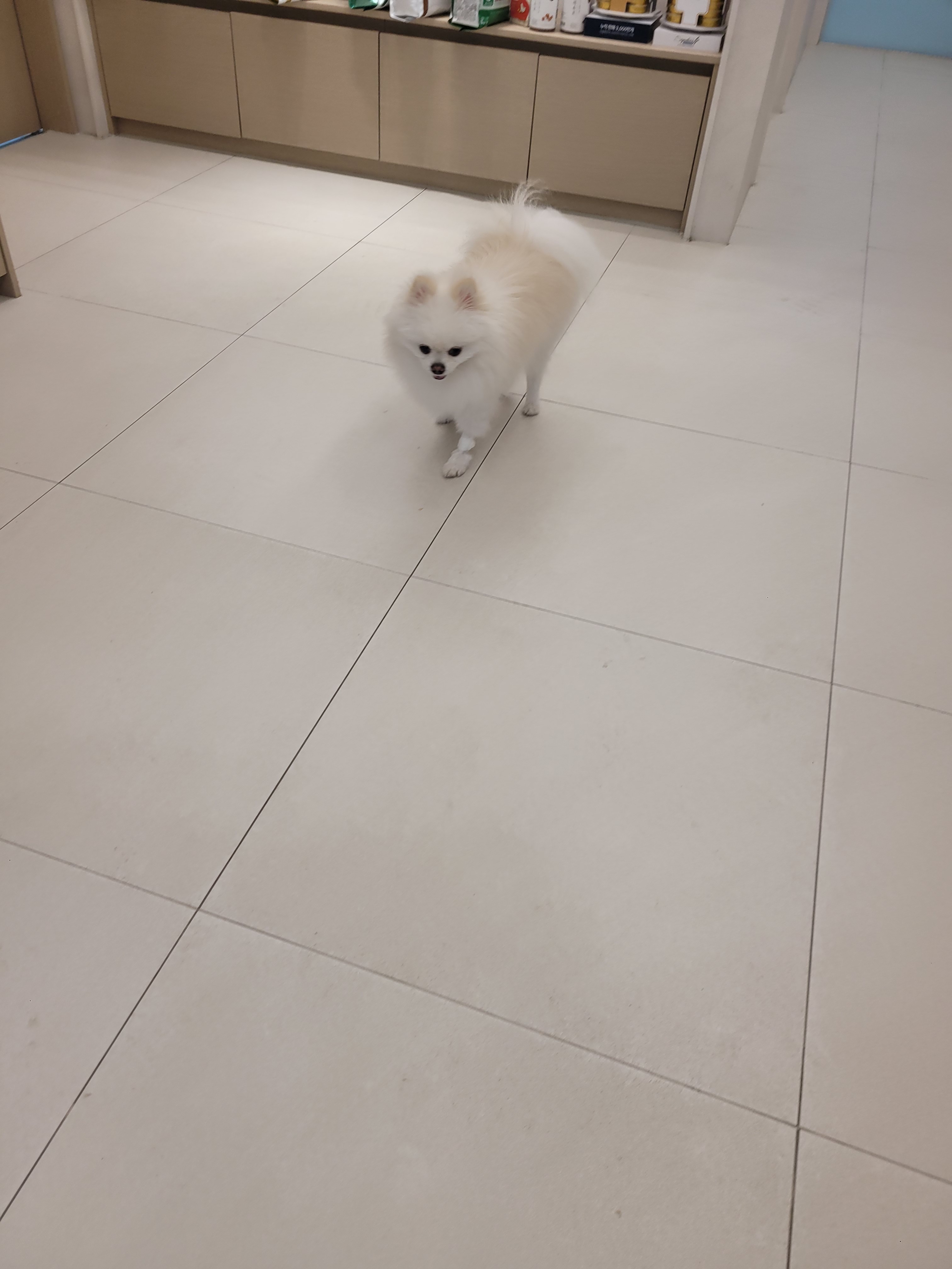 리뷰 사진 1
