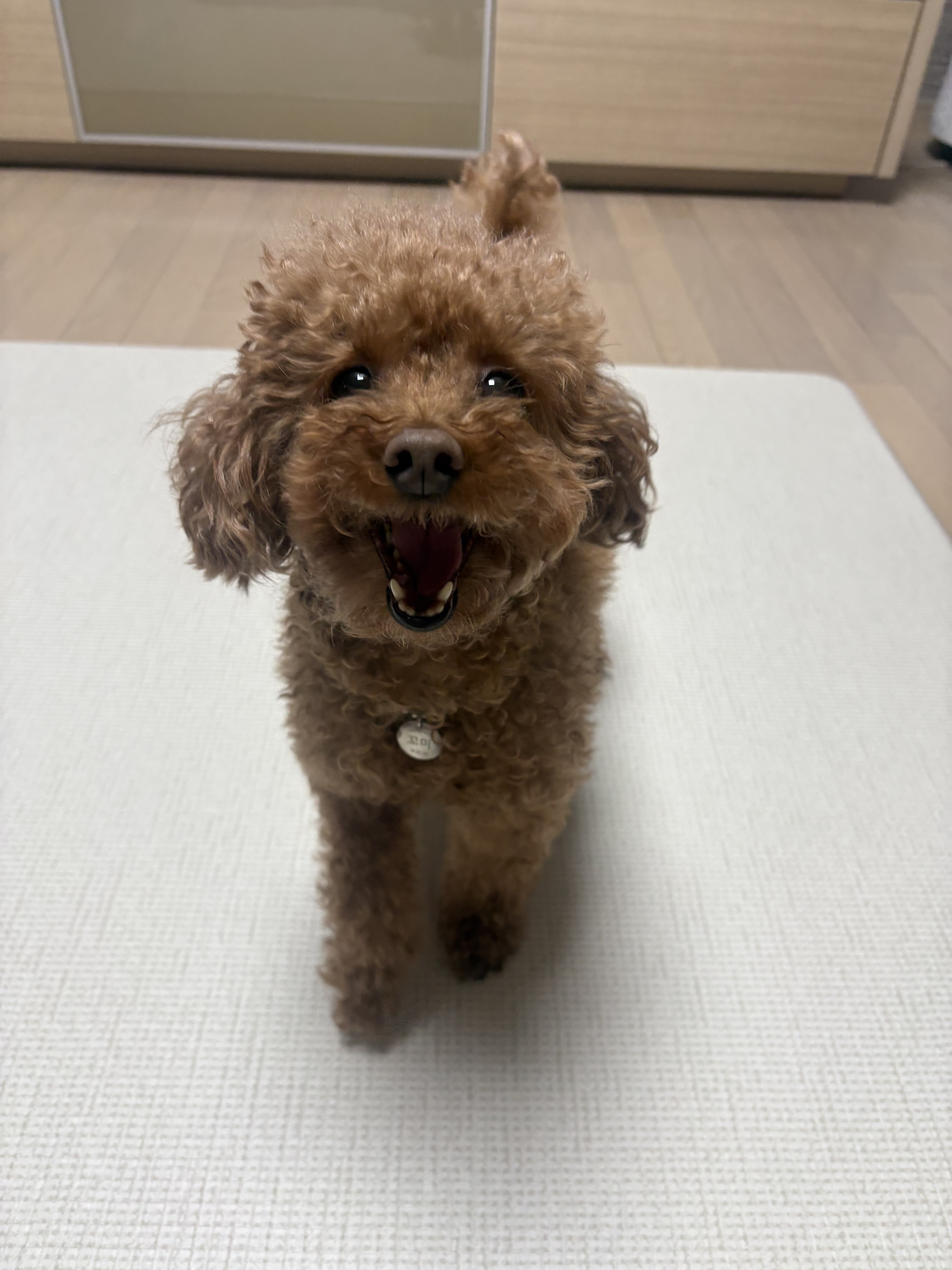 주연동물병원 사진 5