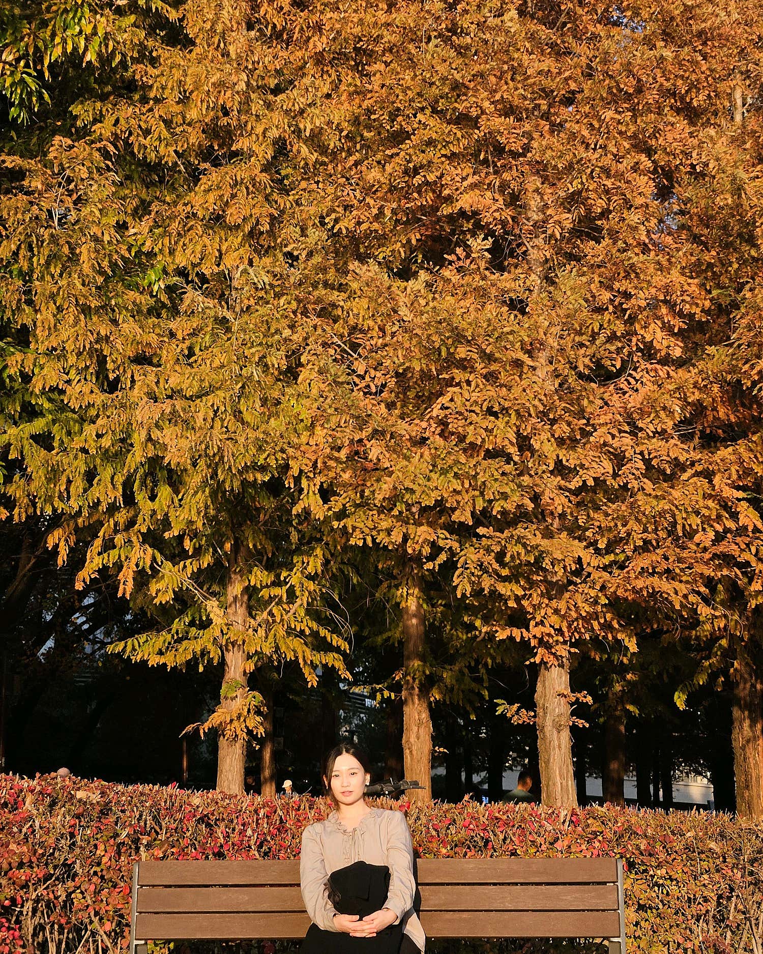 홀리데이 퀸아망과 상큼한 레몬차