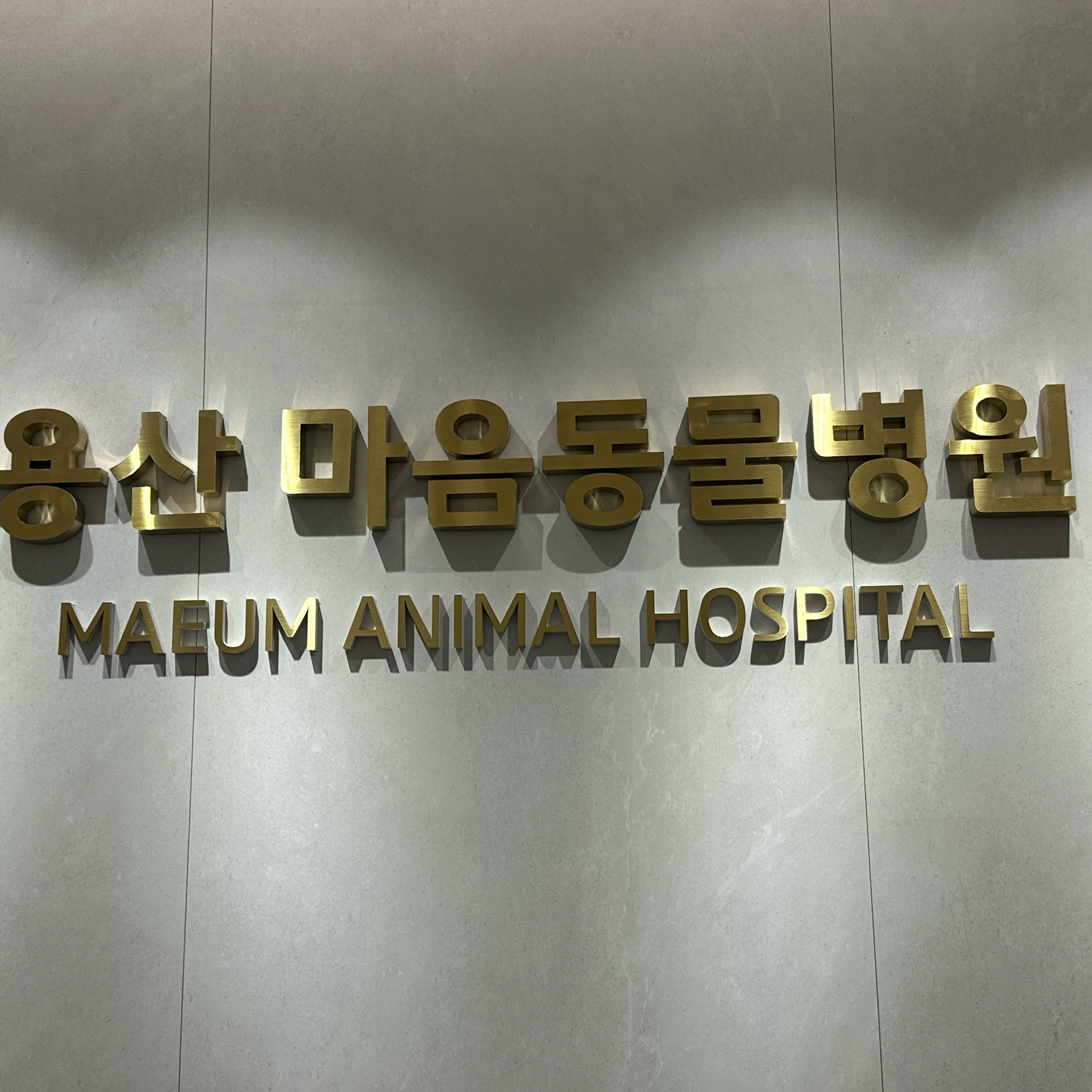 리뷰 사진 2