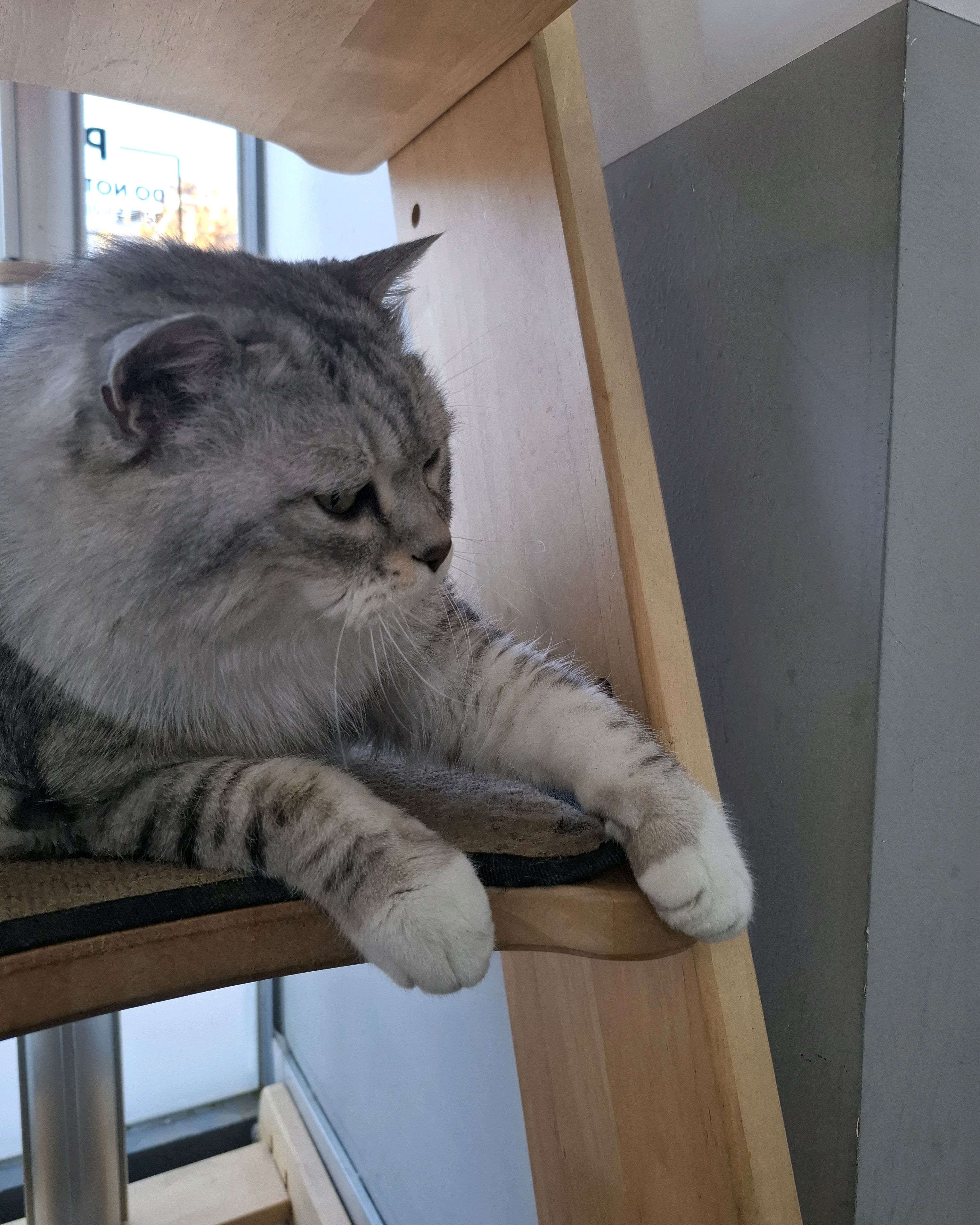 리뷰 사진 2