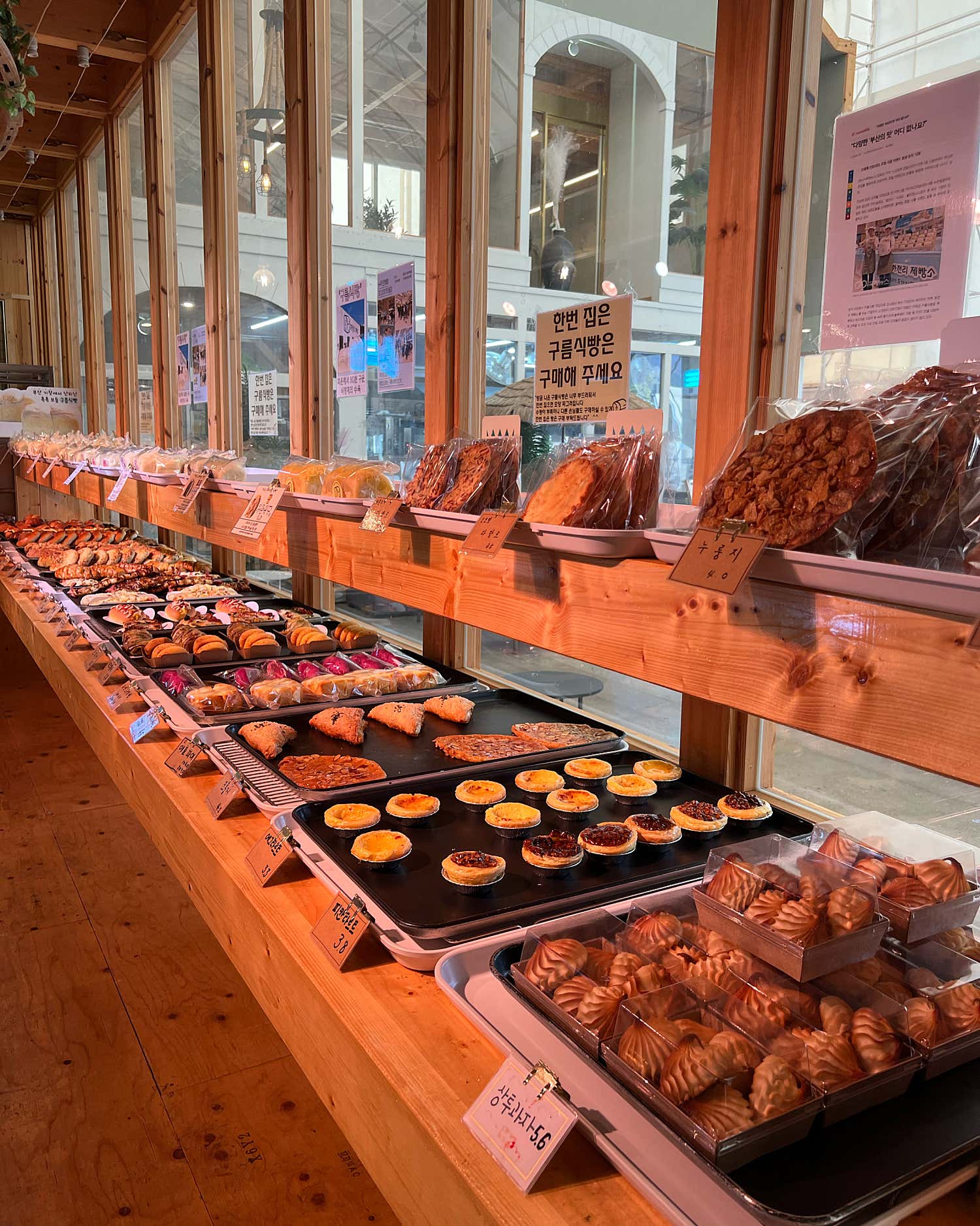 화전리 제빵소 내부에서 외부를 바라보며 편안하게 쉬고 있는 모습