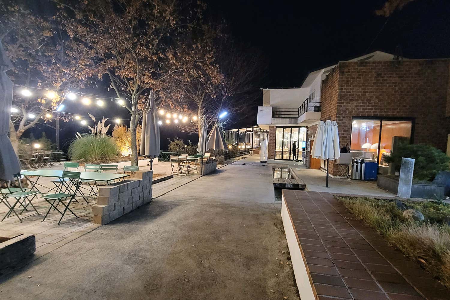 트러플 크림 파스타, 풍성한 버섯과 루꼴라가 올라간 먹음직스러운 모습