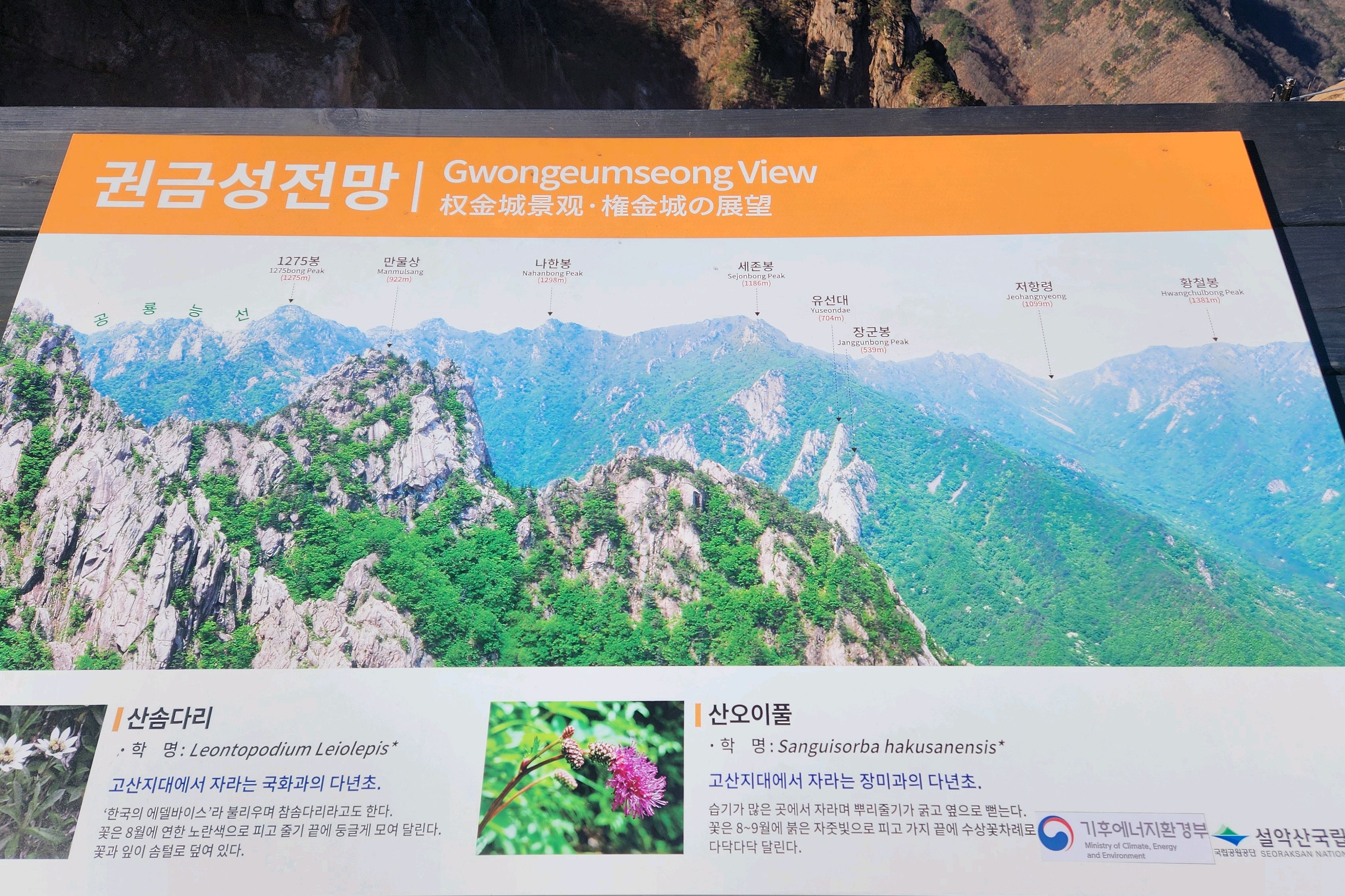 GS25 설악산점 (GS25 Seoraksan) 6