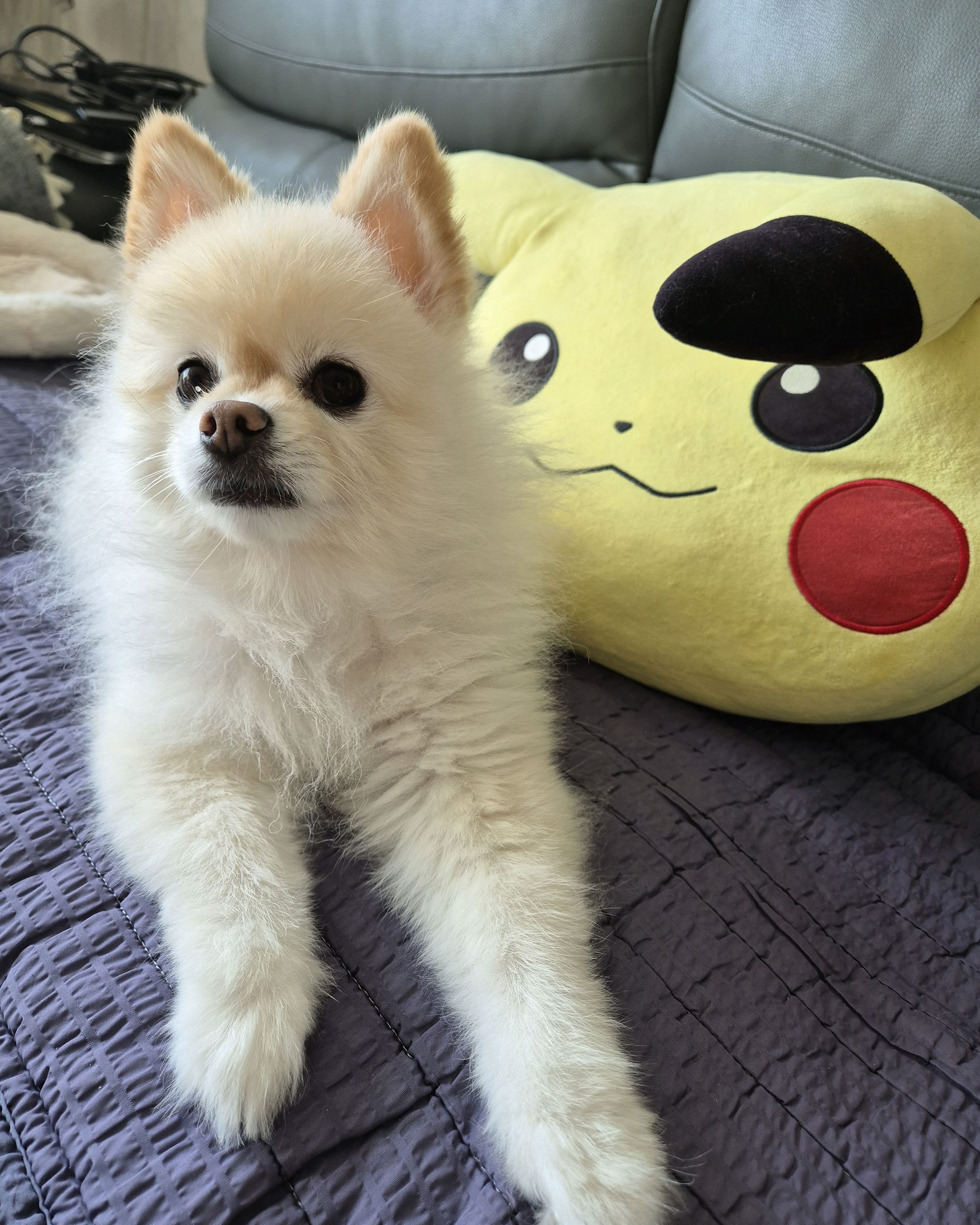 리뷰 사진 1