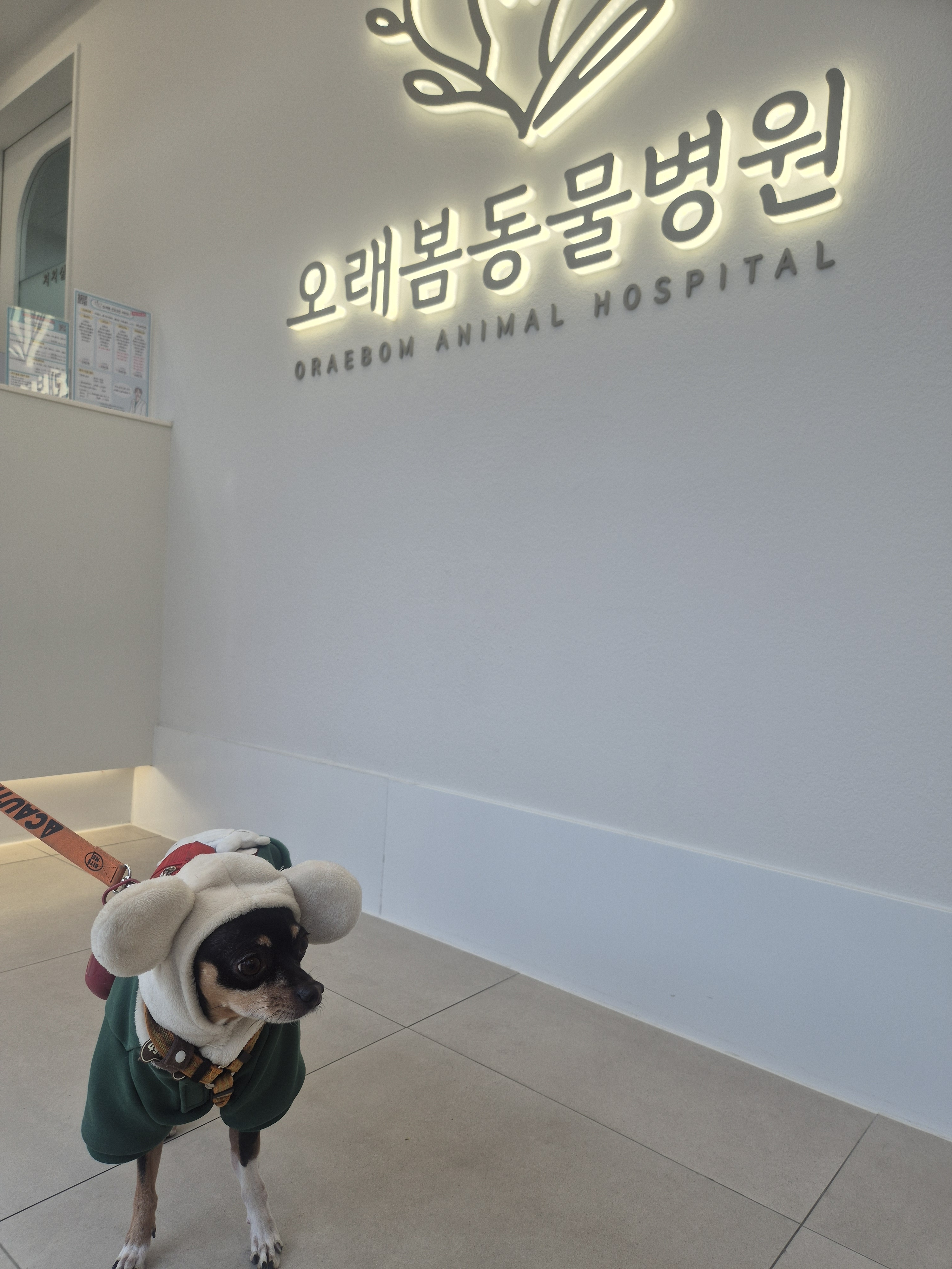 리뷰 사진 1