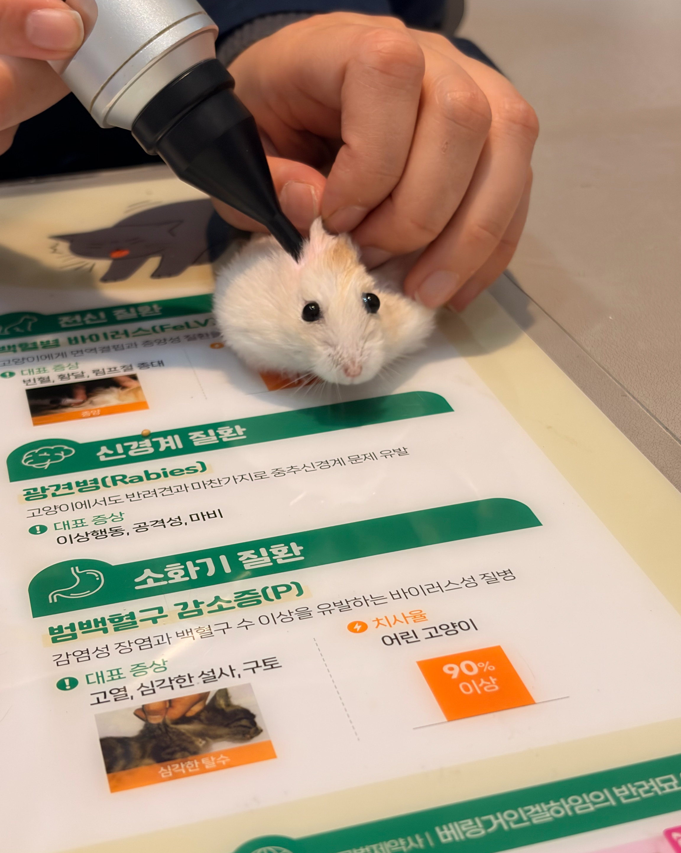 리뷰 사진 1