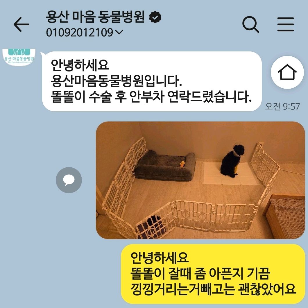 리뷰 사진 1