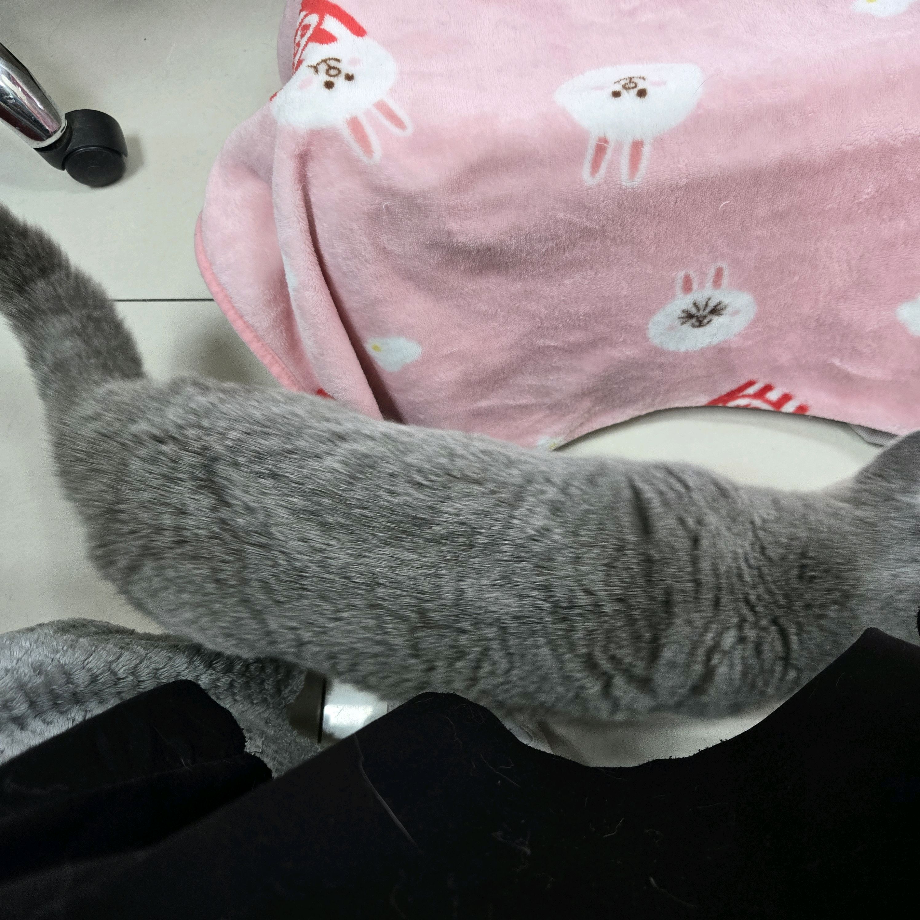 리뷰 사진 1