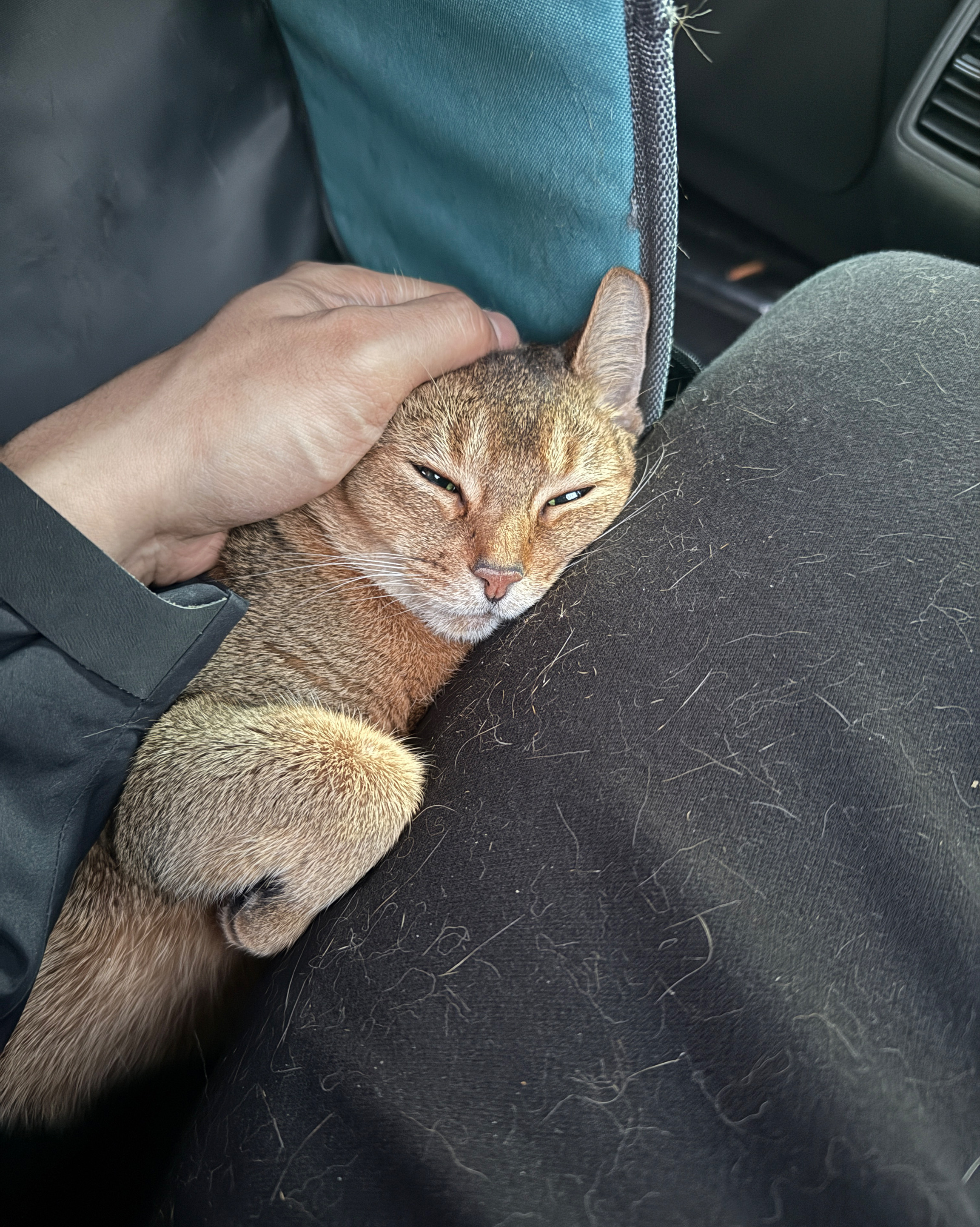 리뷰 사진 1