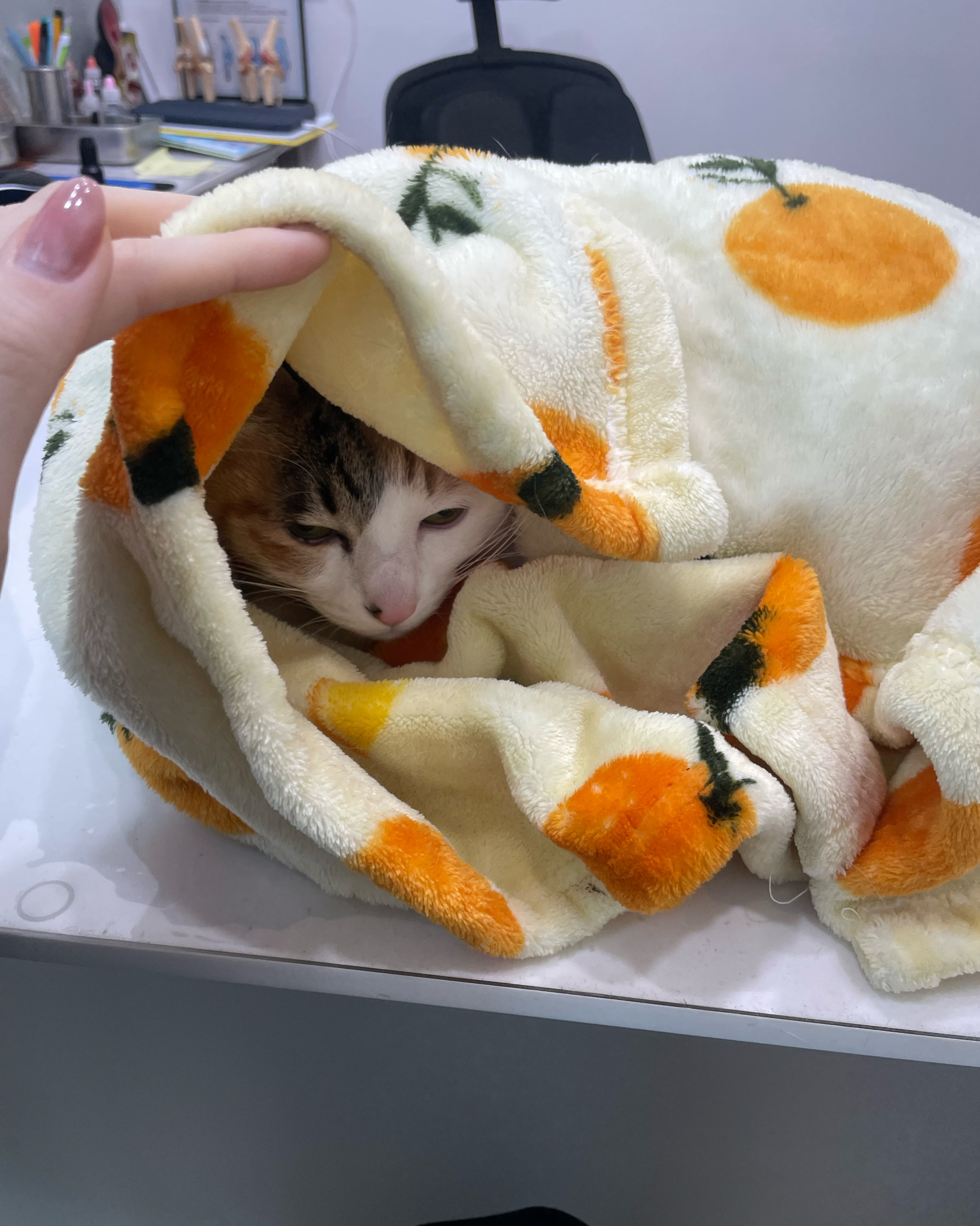 리뷰 사진 2