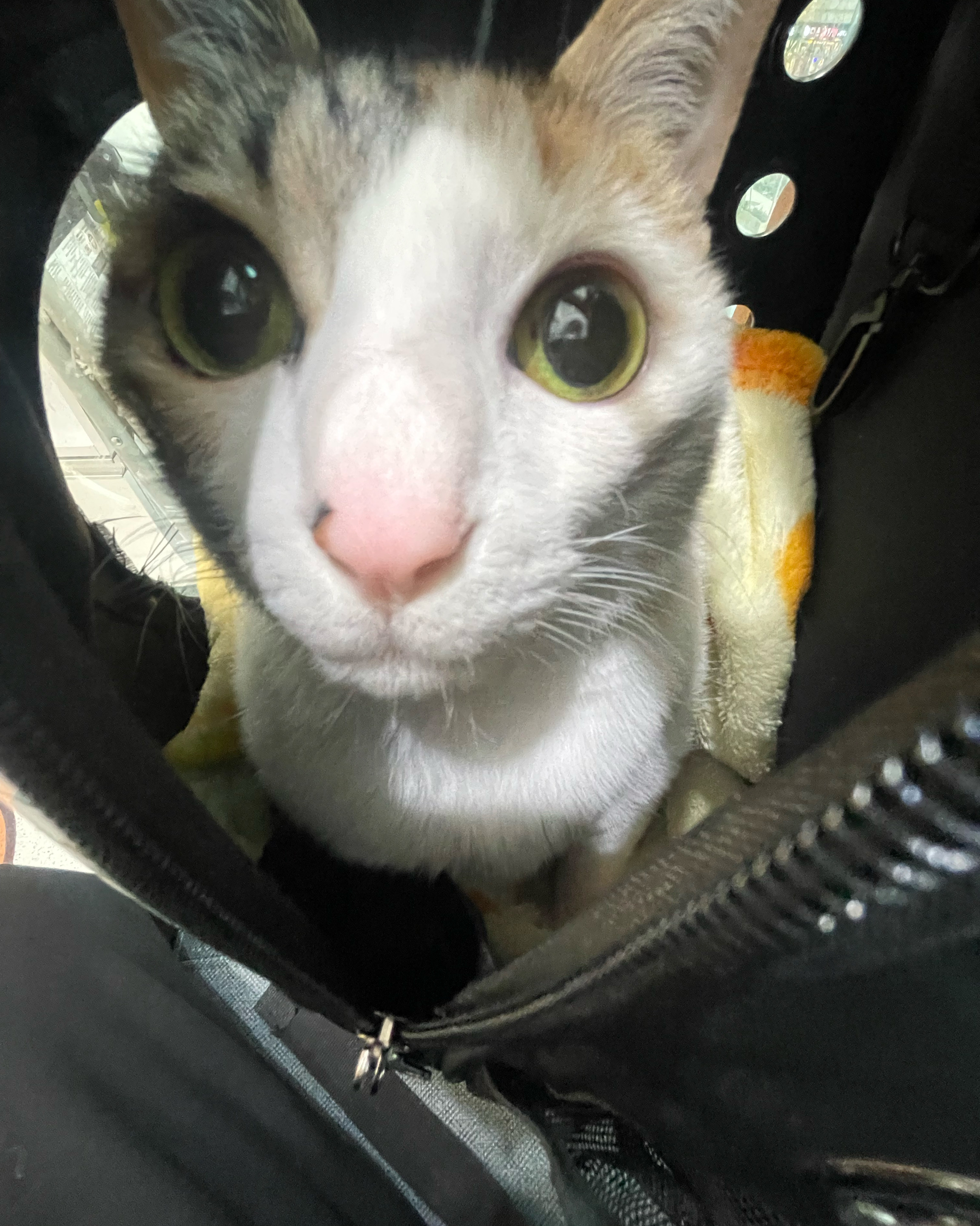 리뷰 사진 1