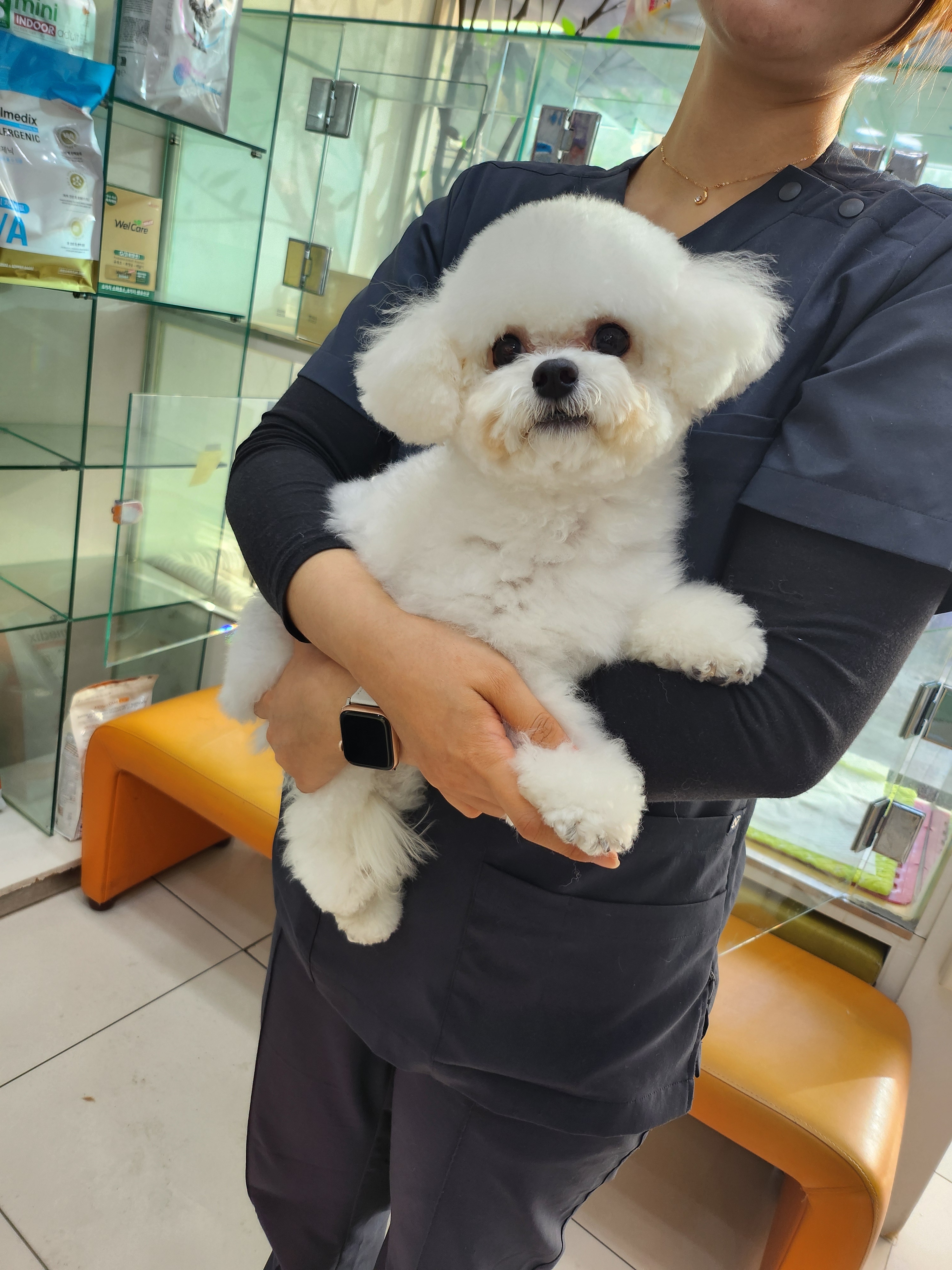 반포자이동물병원 사진 2